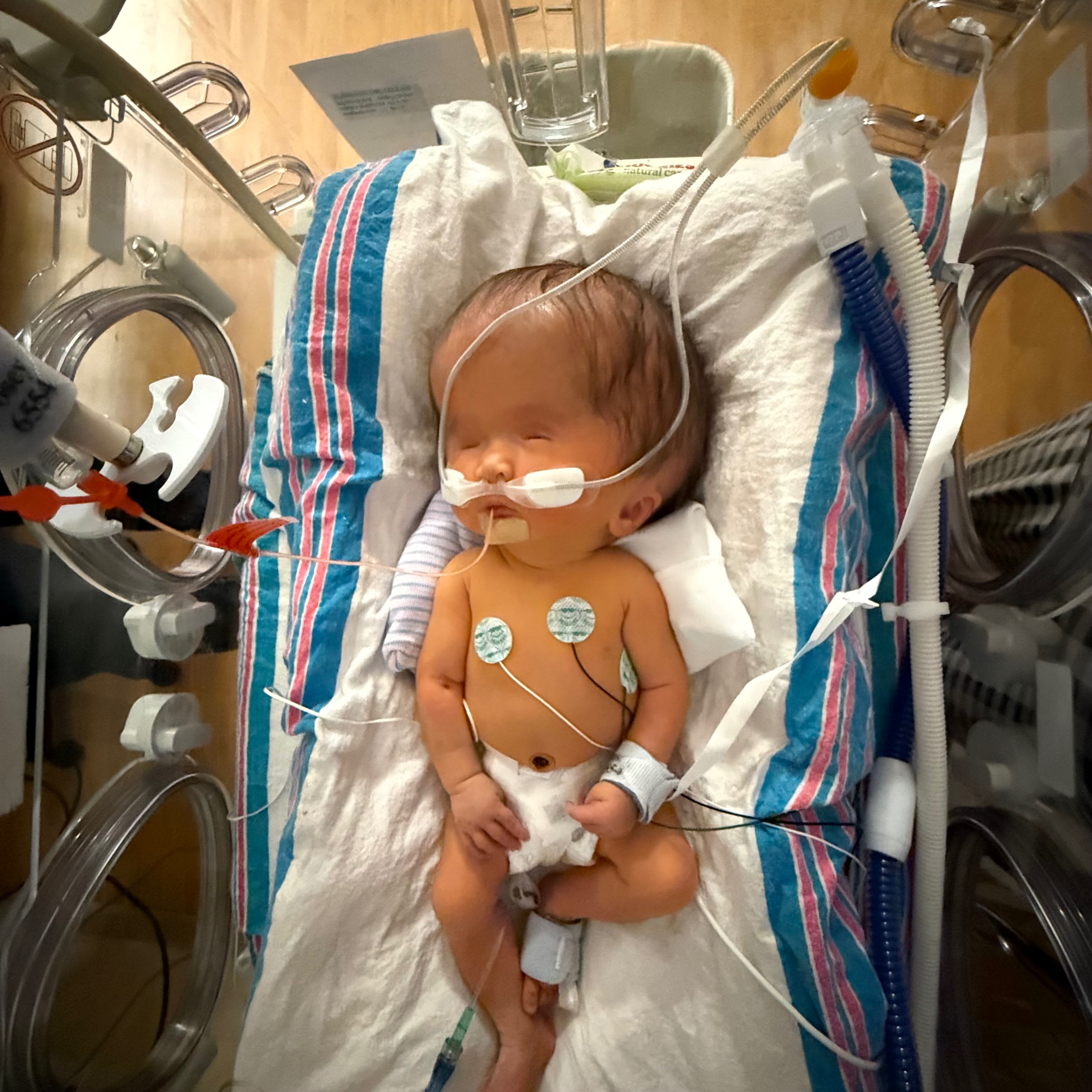 Davanee “DJ” Kroslack: Our Christmas Miracle in the NICU campaign photo, 6 of 8