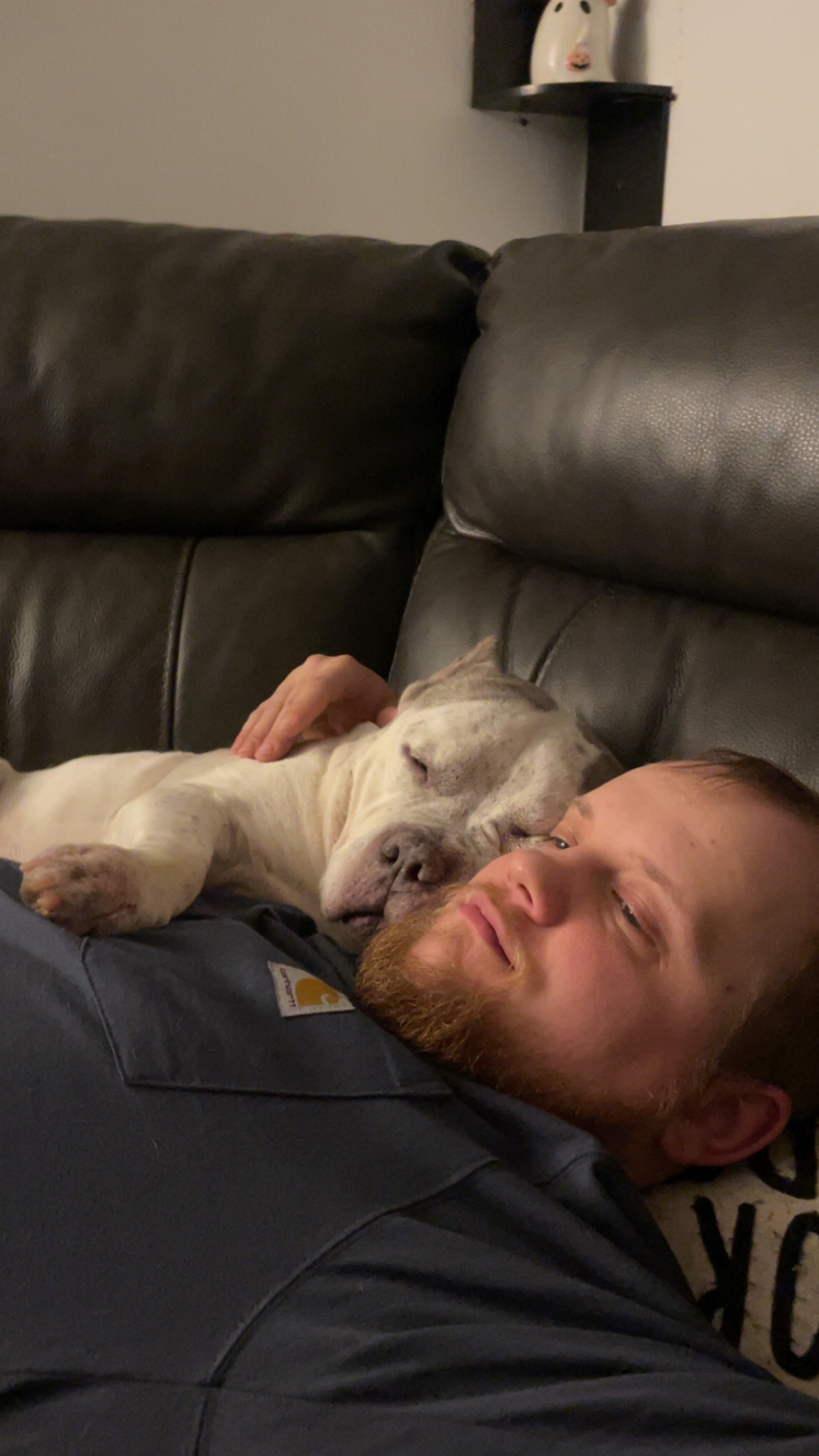 Help Paco (Bean) Get Vet Care campaign photo, 2 of 8