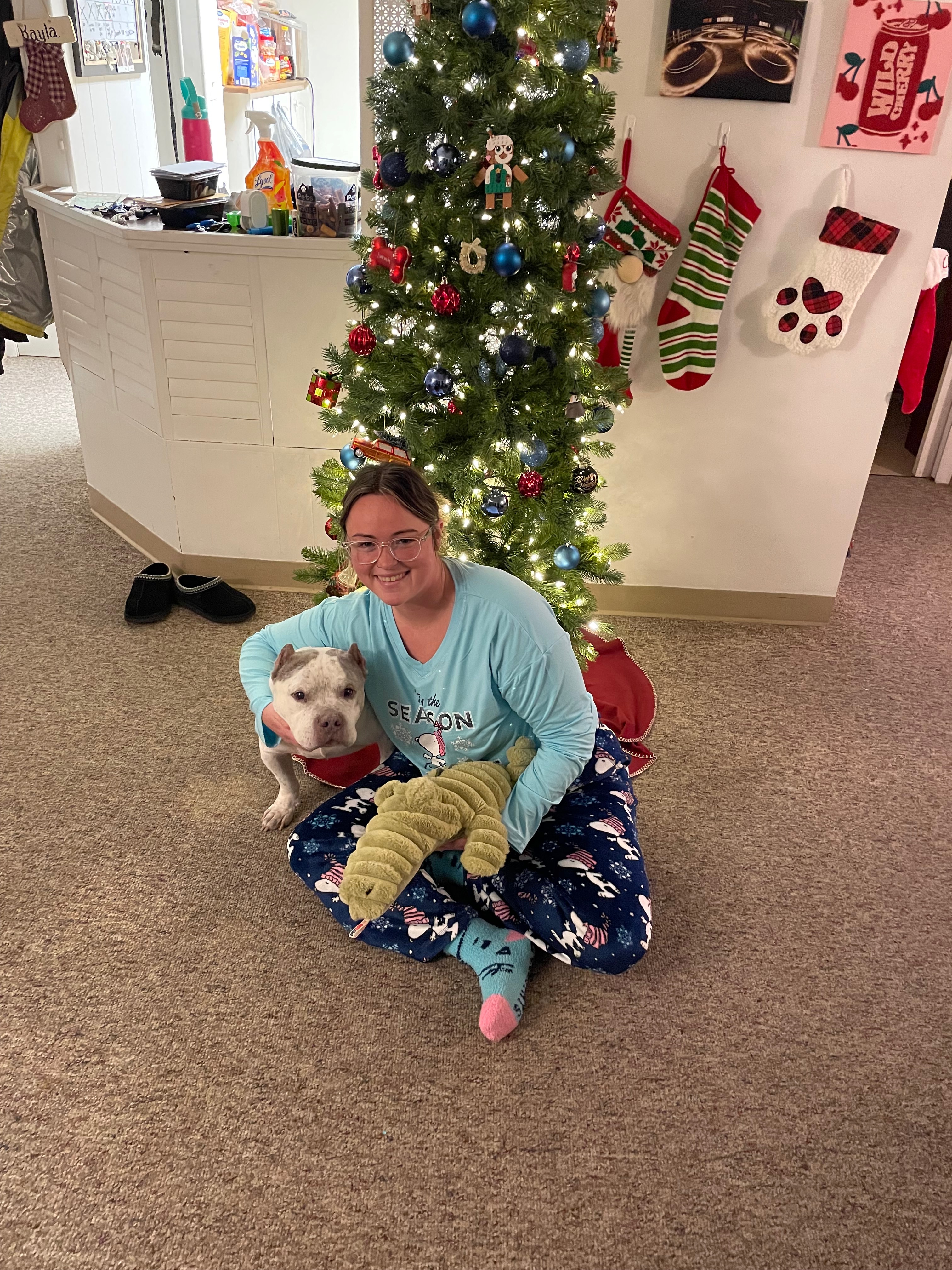 Help Paco (Bean) Get Vet Care campaign photo, 6 of 8