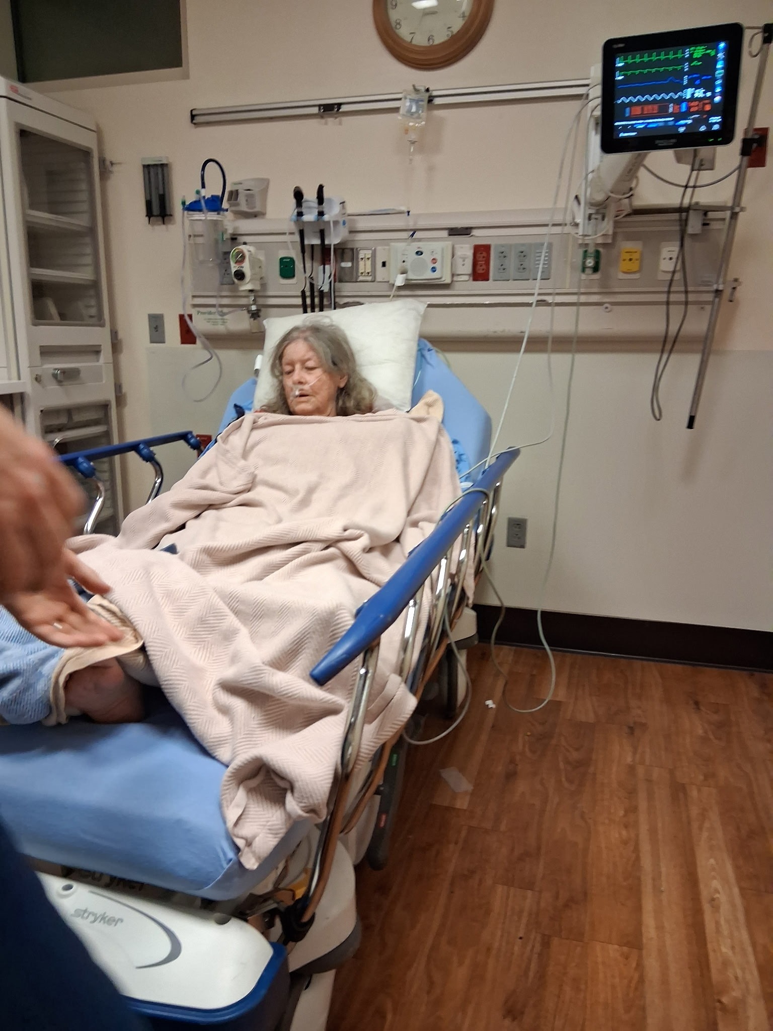Help Dixie Recover After Her Fall campaign photo, 7 of 8