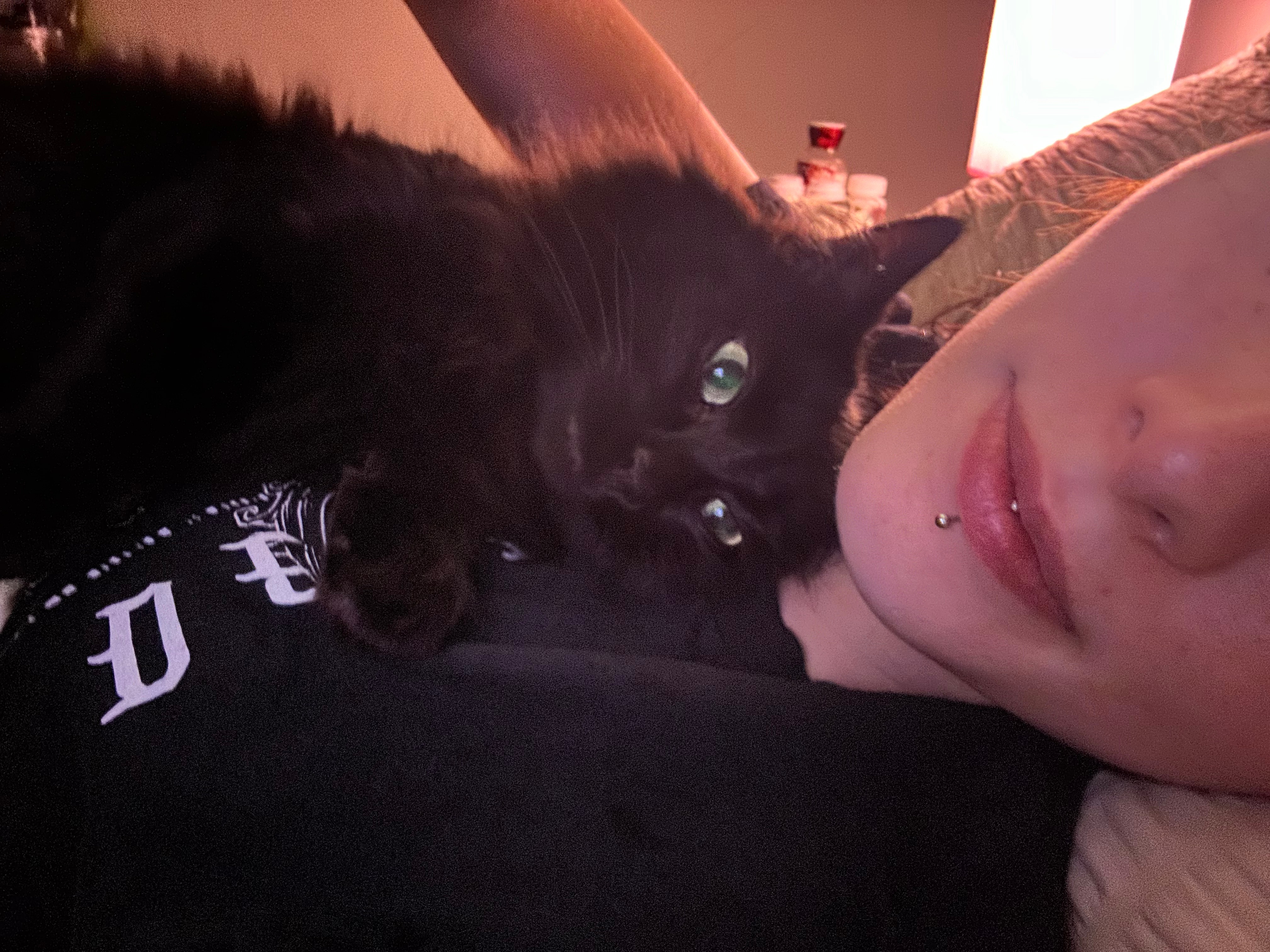 Help Petunia Recover from Surgery campaign photo, 2 of 5