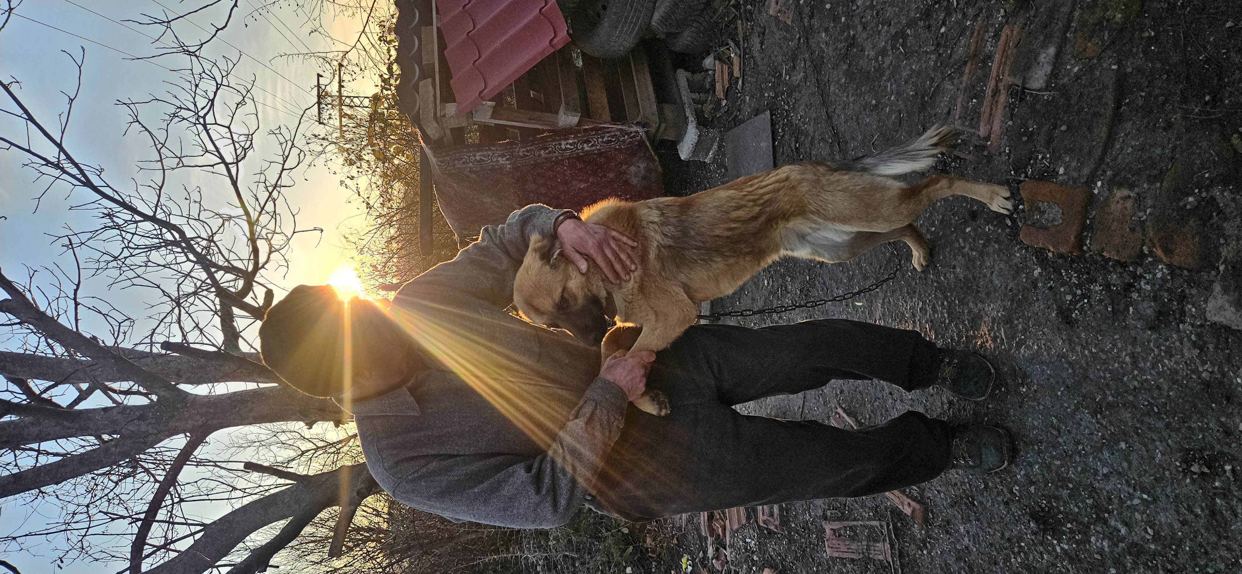 HELP us secure our Dog Shelter! campaign photo, 6 of 8