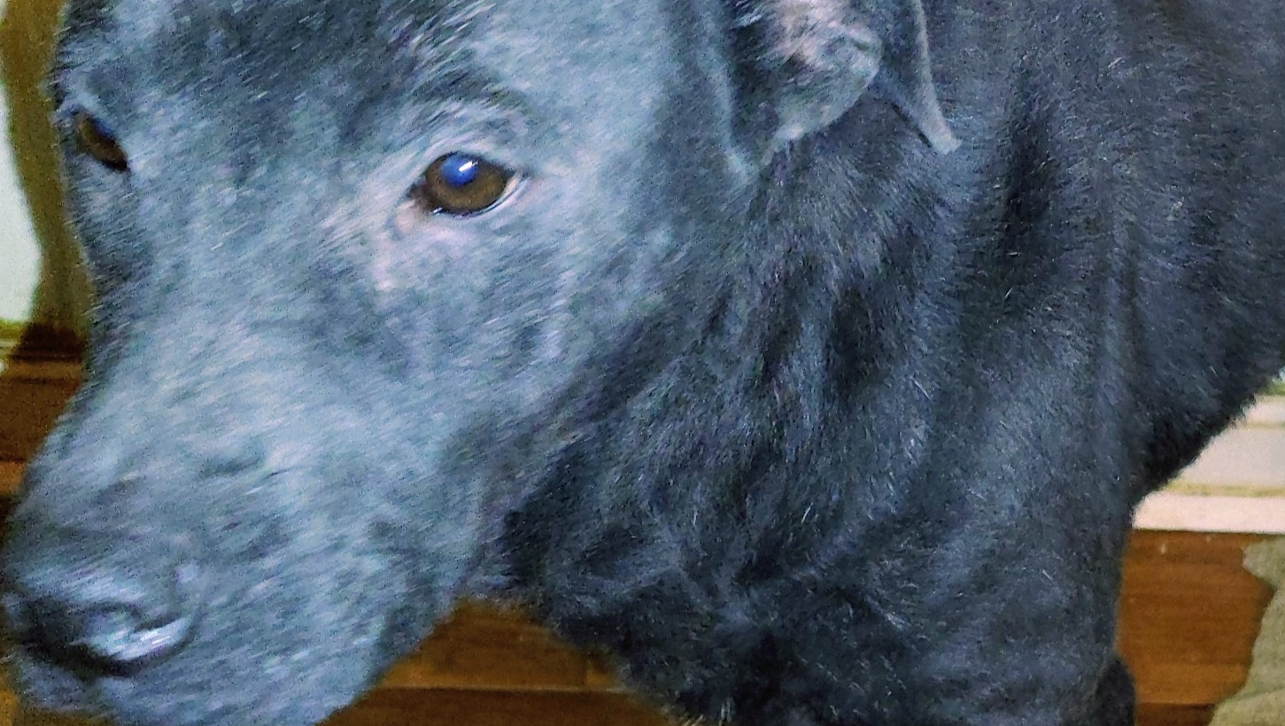 PLEASE Today 2-6-26 Help desperately needed Please photo