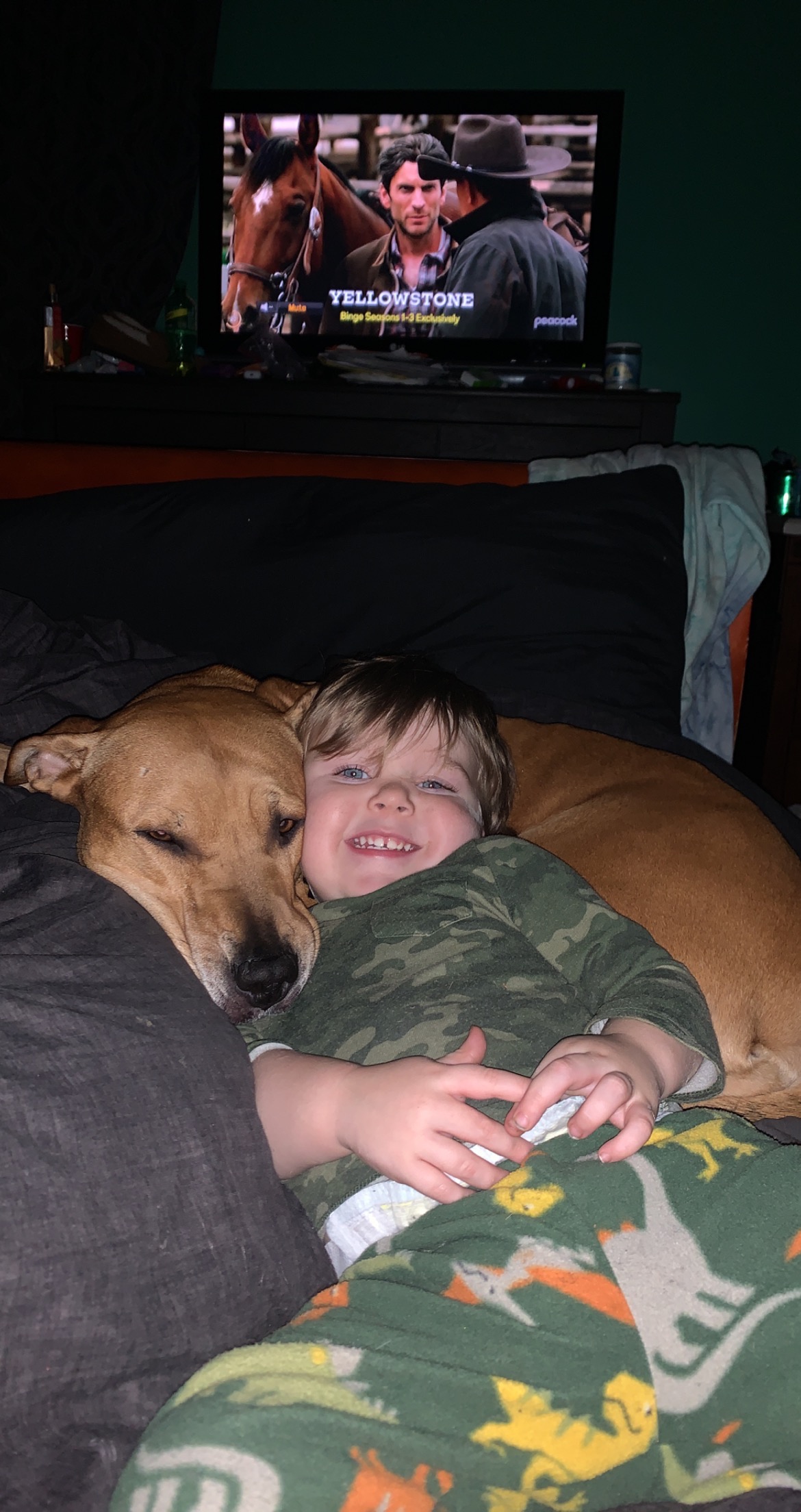 Support Dixie’s Surgery and Recovery campaign photo, 7 of 7