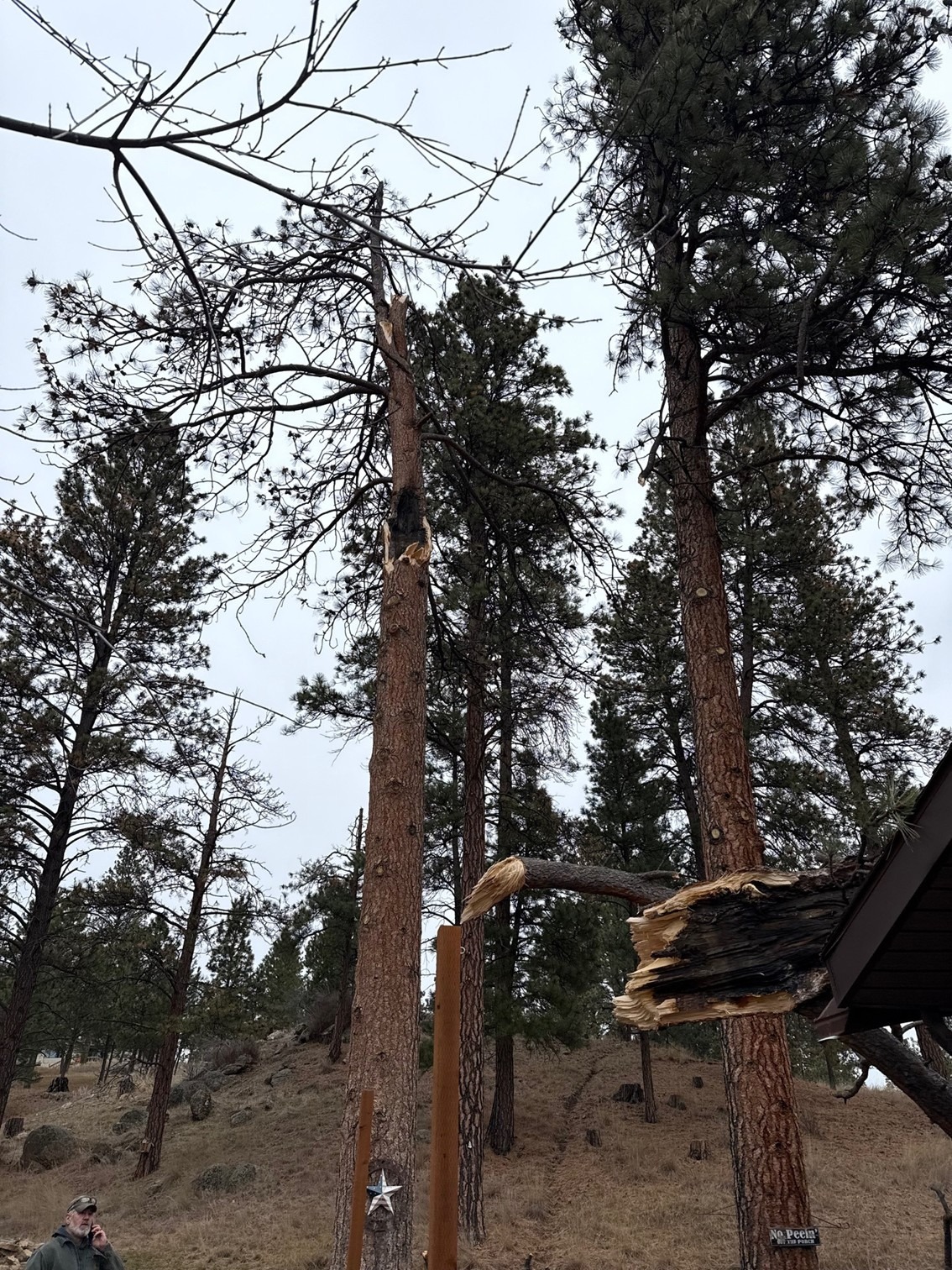 Help the Tarr Family after the wind storm of 2025 campaign photo, 5 of 6