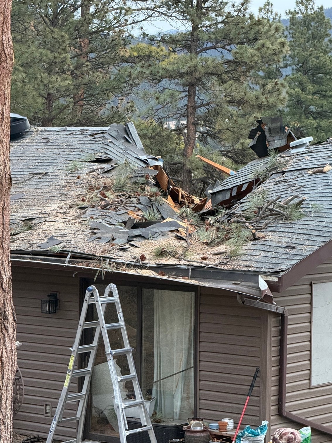 Help the Tarr Family after the wind storm of 2025 campaign photo, 4 of 6