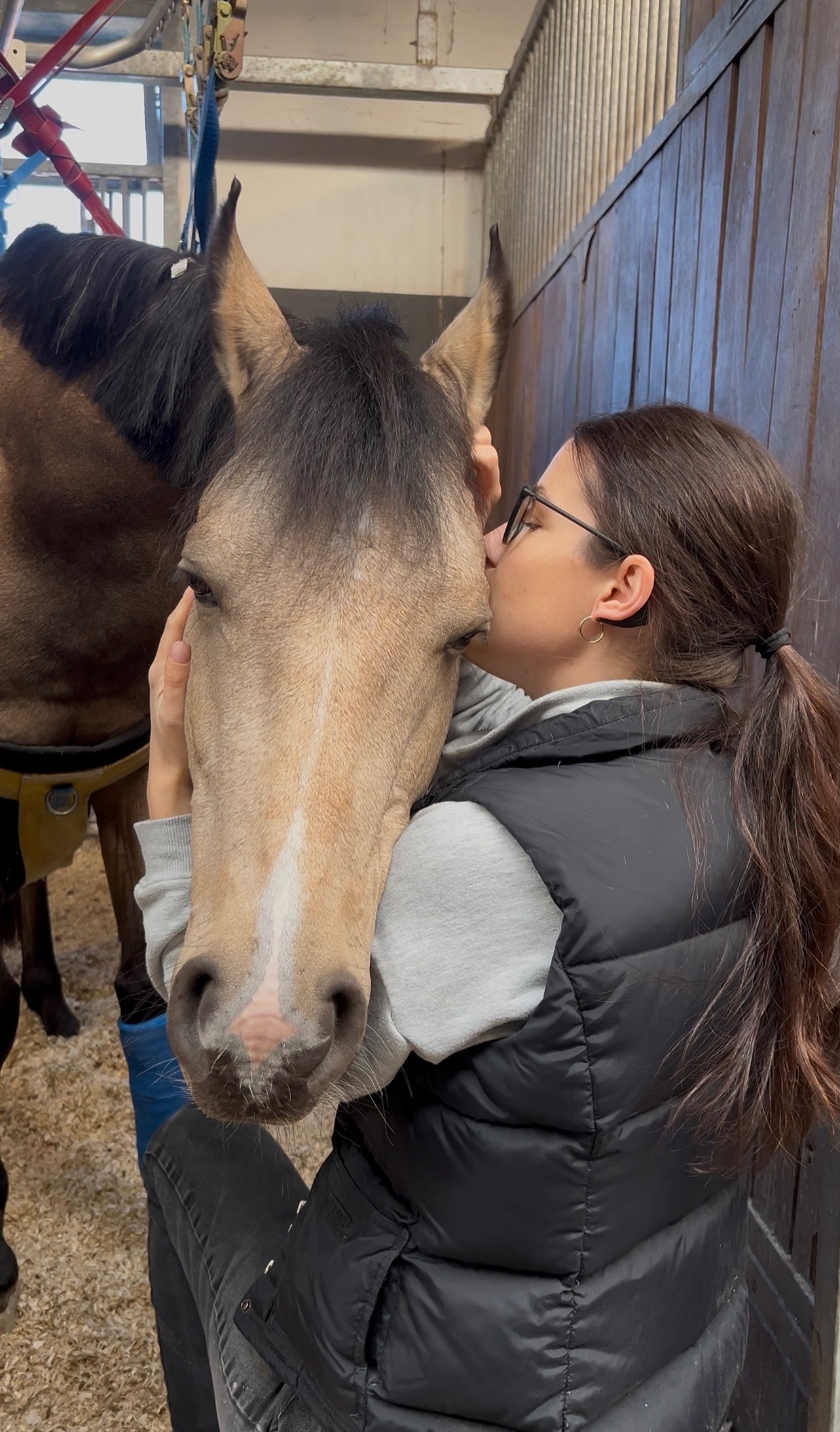 Hilferuf für Seelenpony und seiner Besitzerin campaign photo, 7 of 8