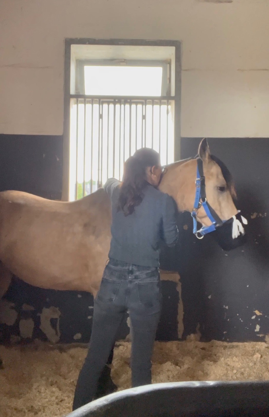 Hilferuf für Seelenpony und seiner Besitzerin campaign photo, 4 of 8