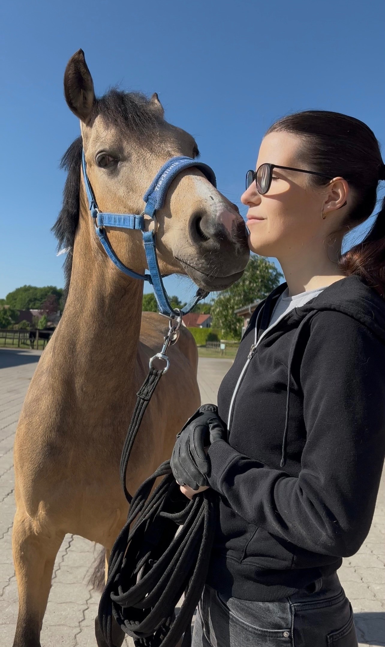 Hilferuf für Seelenpony und seiner Besitzerin campaign photo, 6 of 8