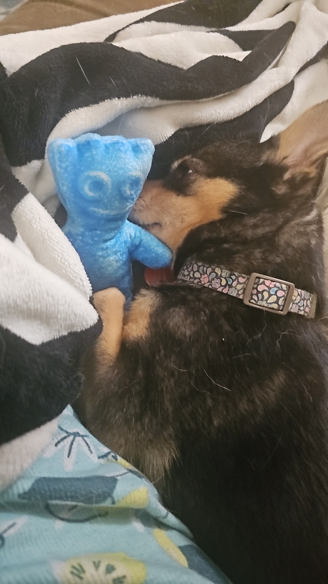 Help Nina get the dental surgery she desperately needs campaign photo, 5 of 5