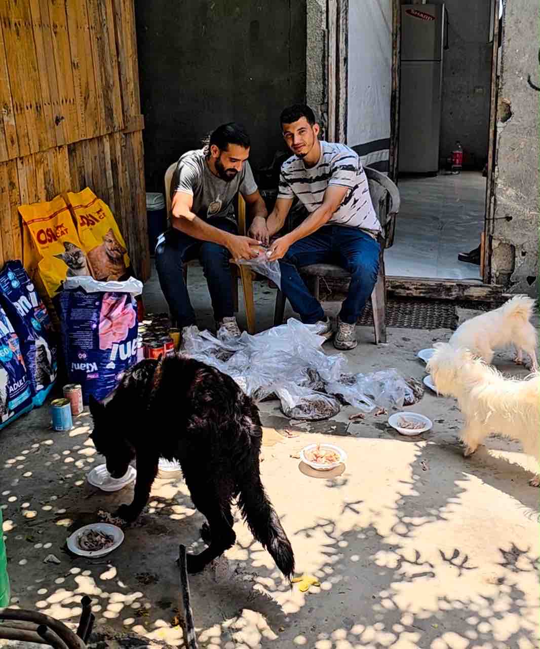 Help Gaza Animal Rescue Team Save Animals in Gaza campaign photo, 4 of 8