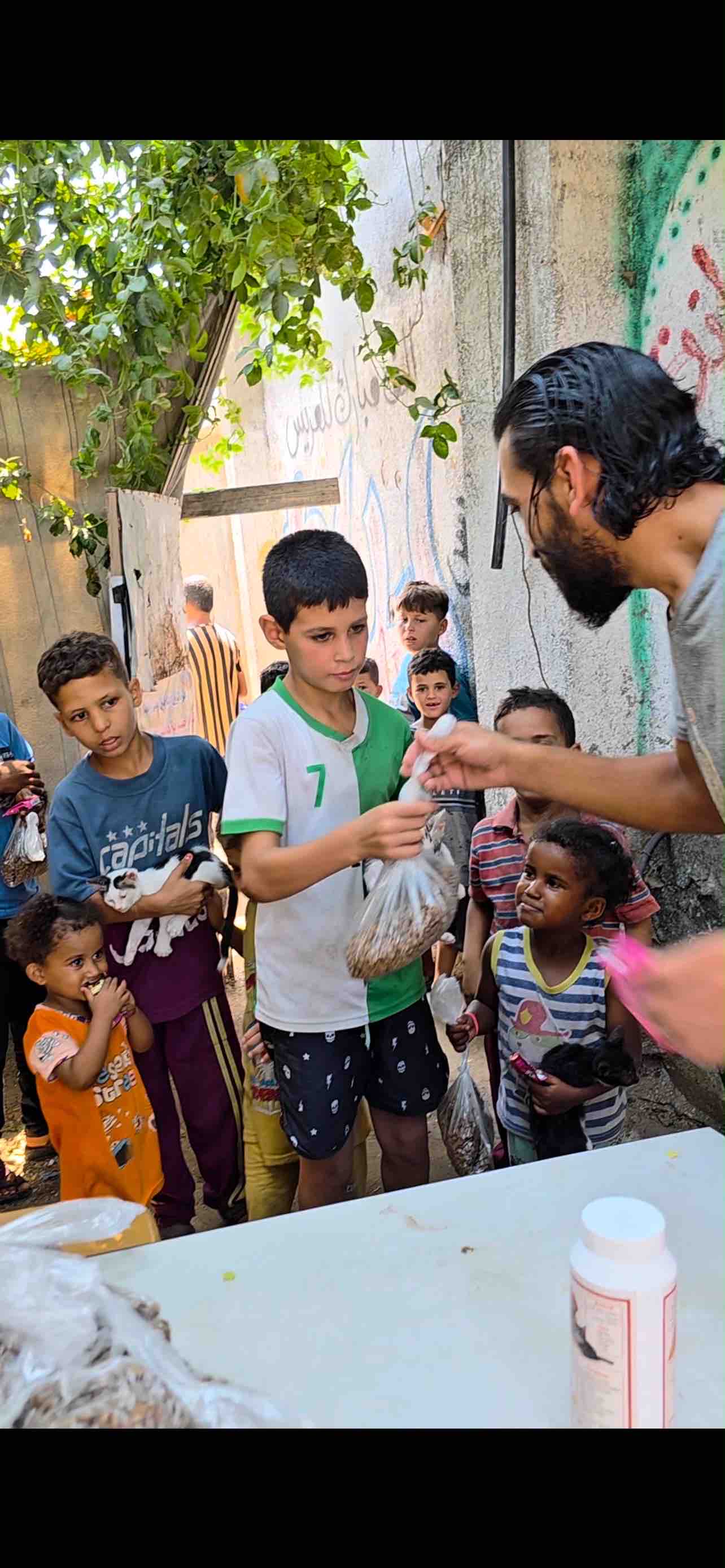 Help Gaza Animal Rescue Team Save Animals in Gaza campaign photo, 6 of 8
