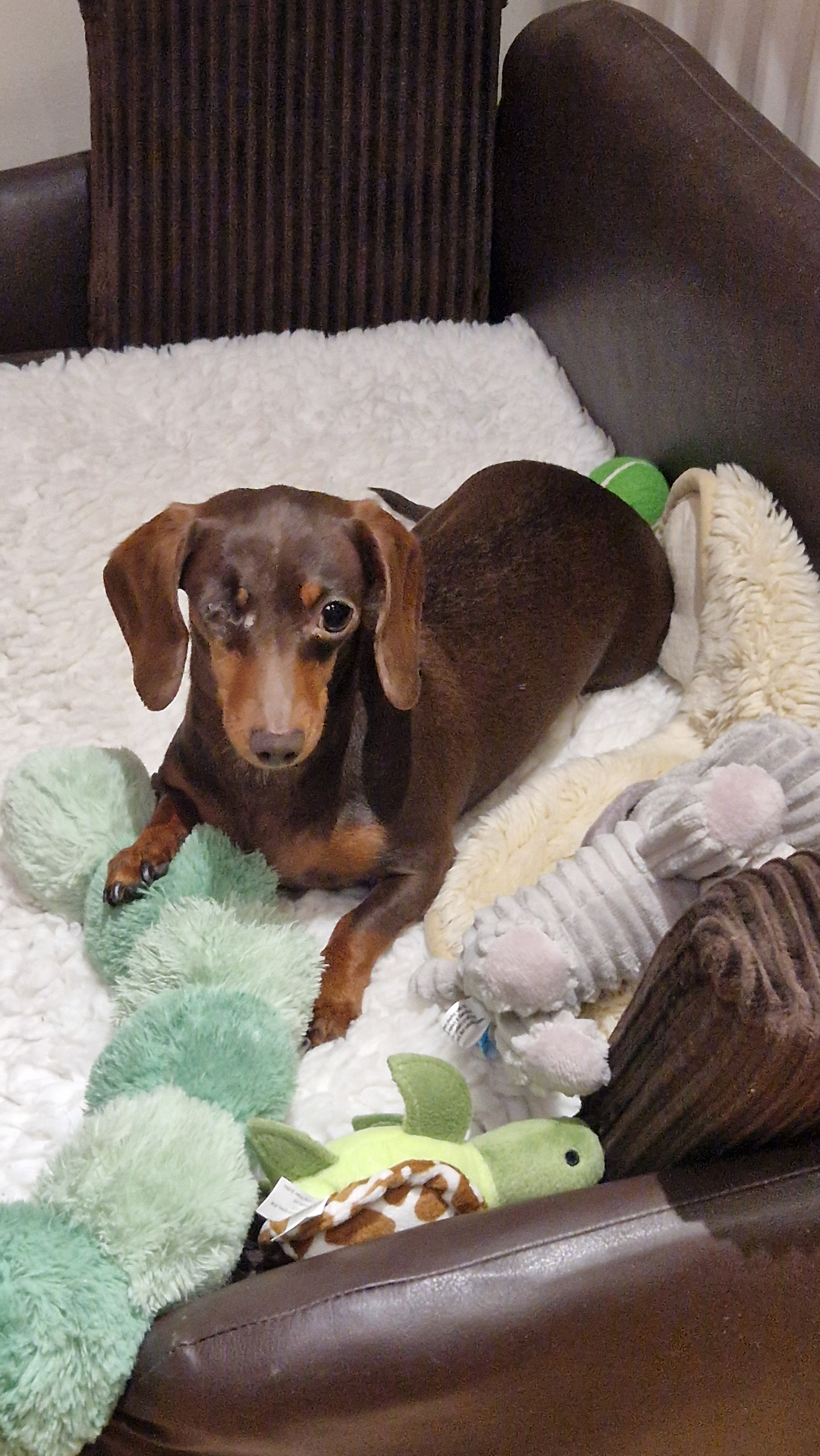 Raising Pennies for little Penny campaign photo, 2 of 7