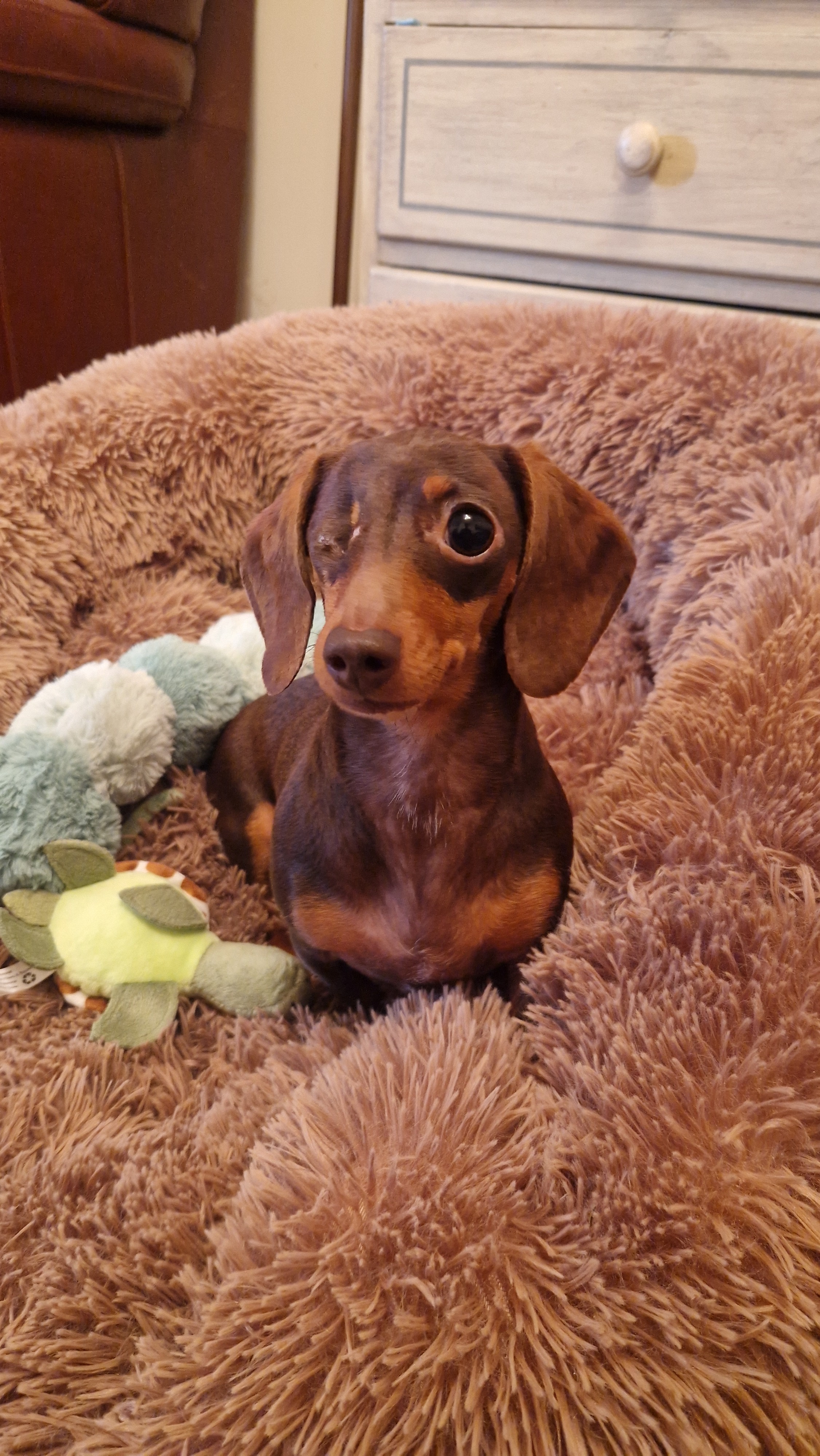 Raising Pennies for little Penny campaign photo, 5 of 7