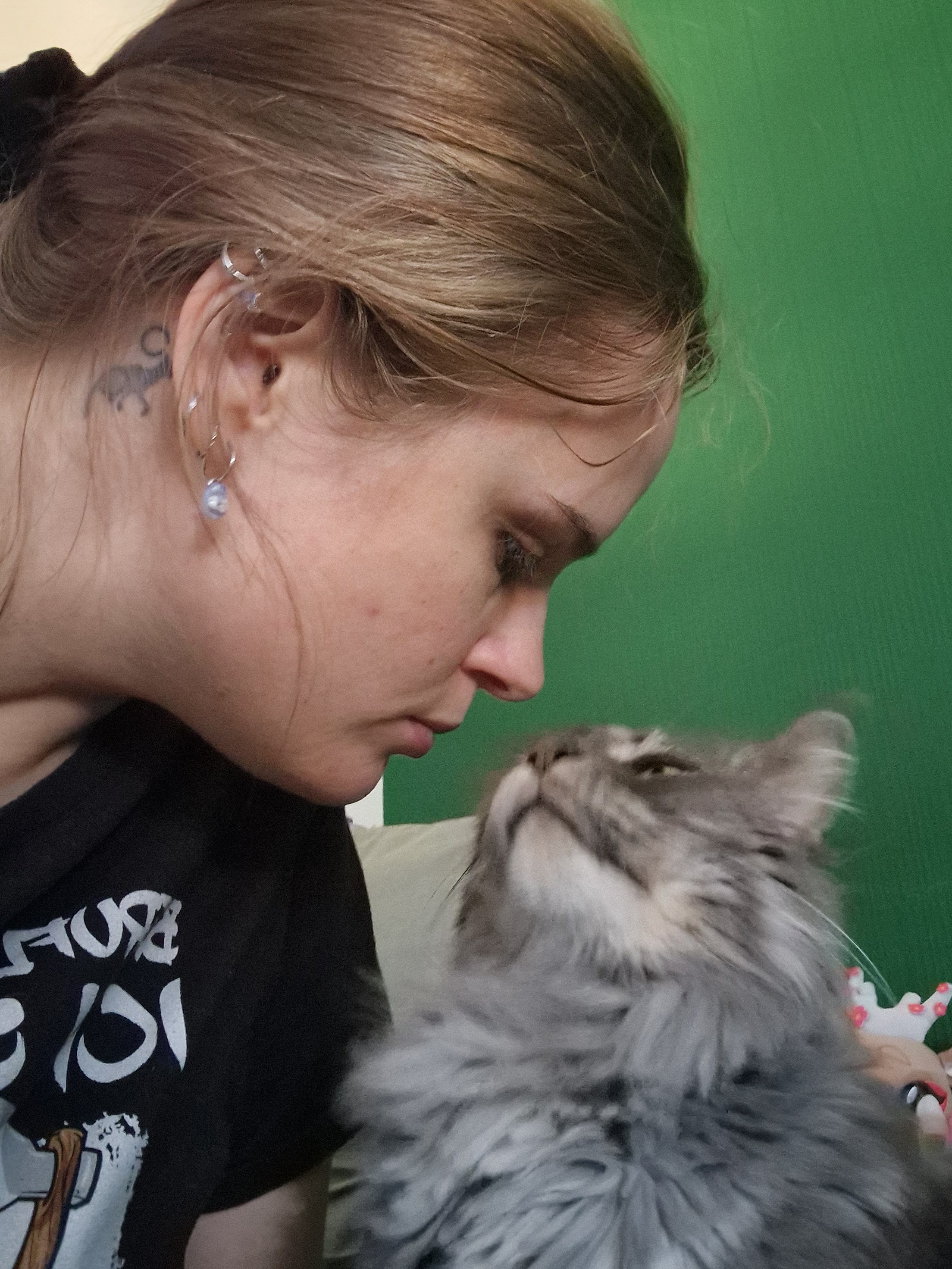Volunteer Work with Animals in Thailand campaign photo, 2 of 4