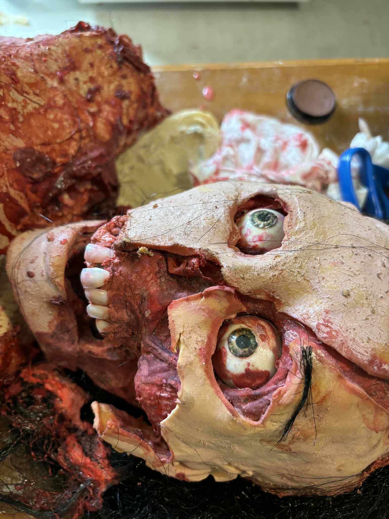Help Me Create Realistic Zombies for My Movie campaign photo, 4 of 7
