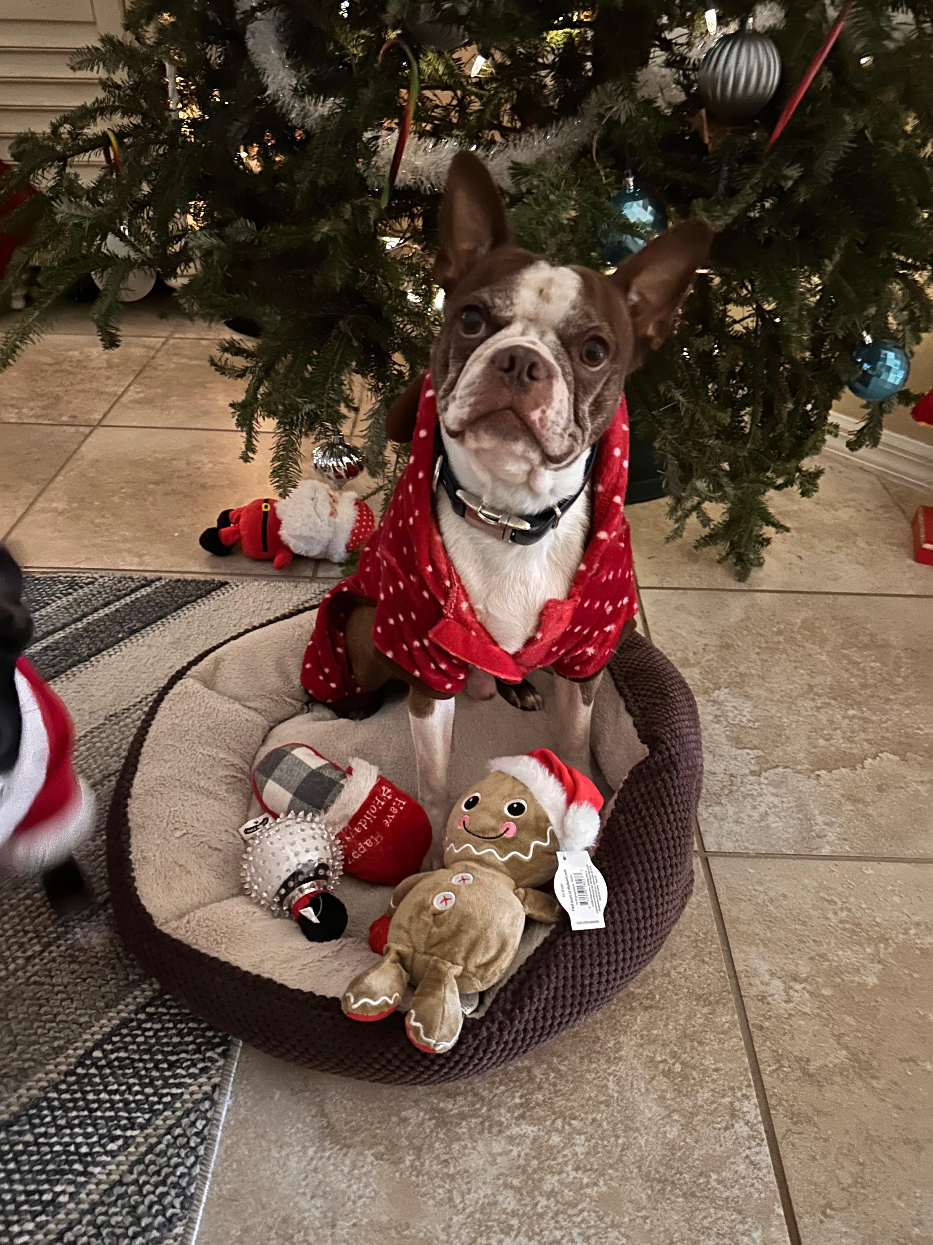 Help Save Tux’s Eye and Vision campaign photo, 2 of 8