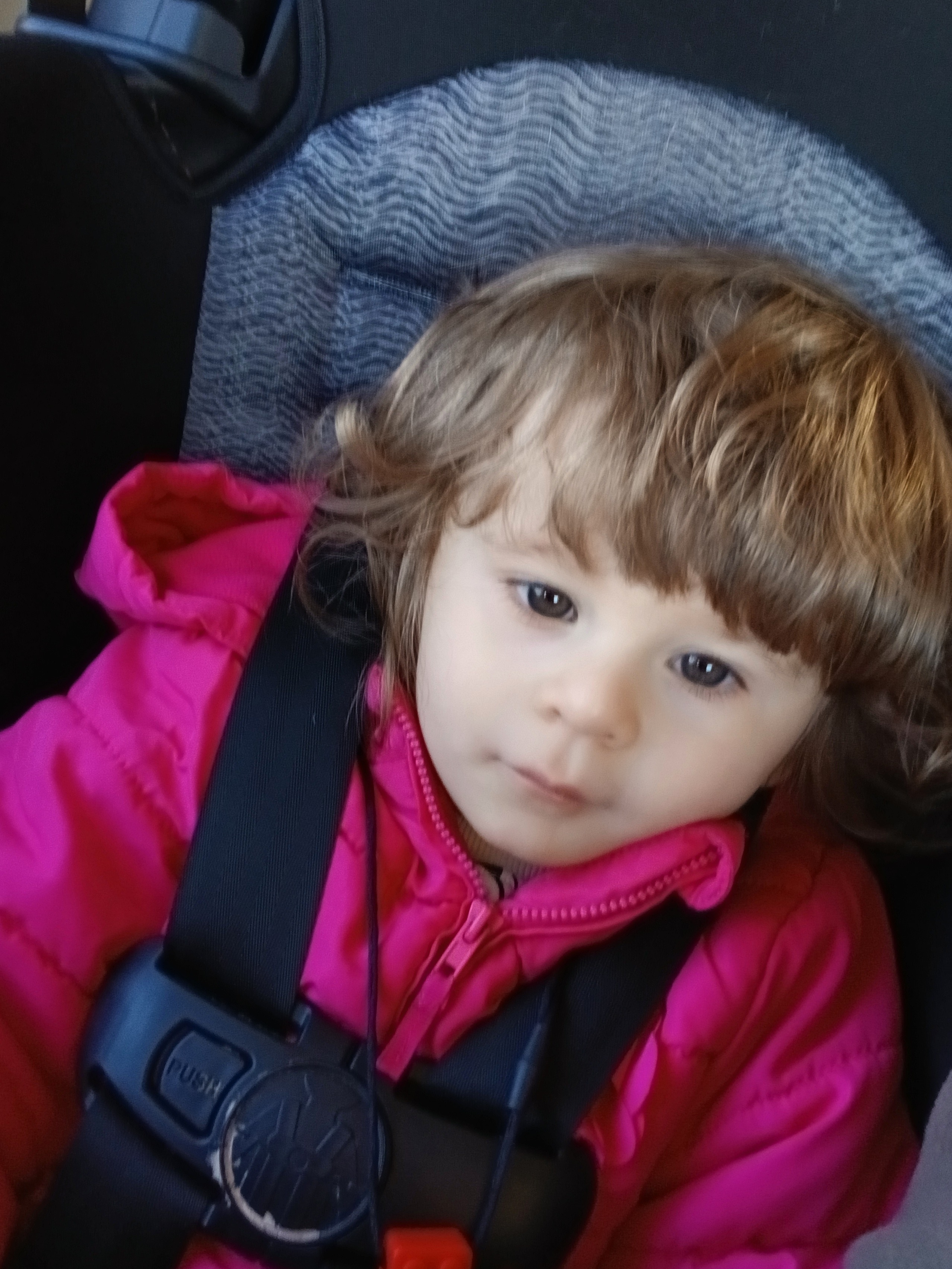 Help Cheyenne's Family Get Back on Their Feet campaign photo, 4 of 5