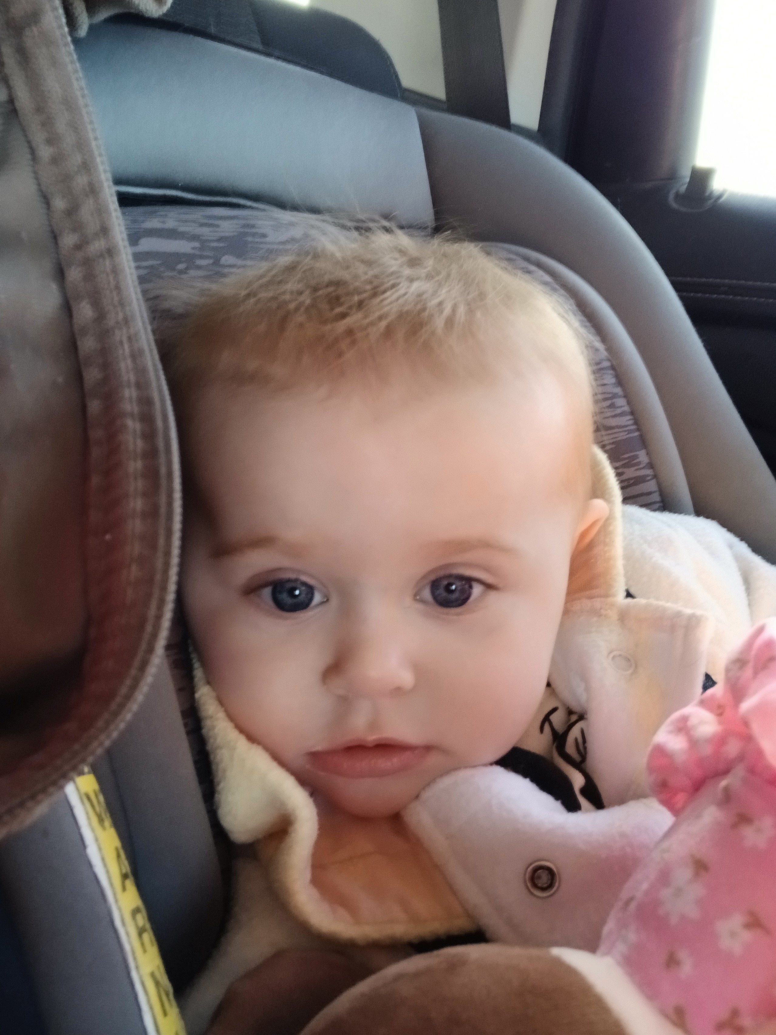 Help Cheyenne's Family Get Back on Their Feet campaign photo, 2 of 5