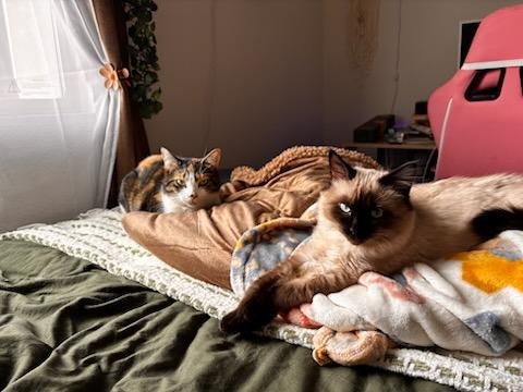 Support Meep's Urgent Medical Care campaign photo, 5 of 8