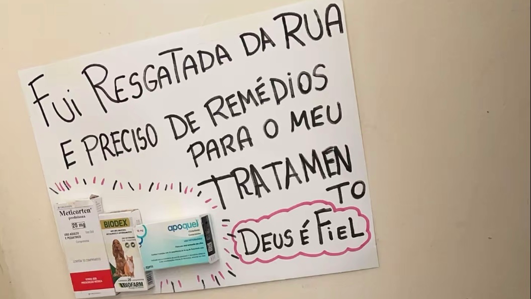 Ajude a luninha , a ter mais dias feliz ! photo