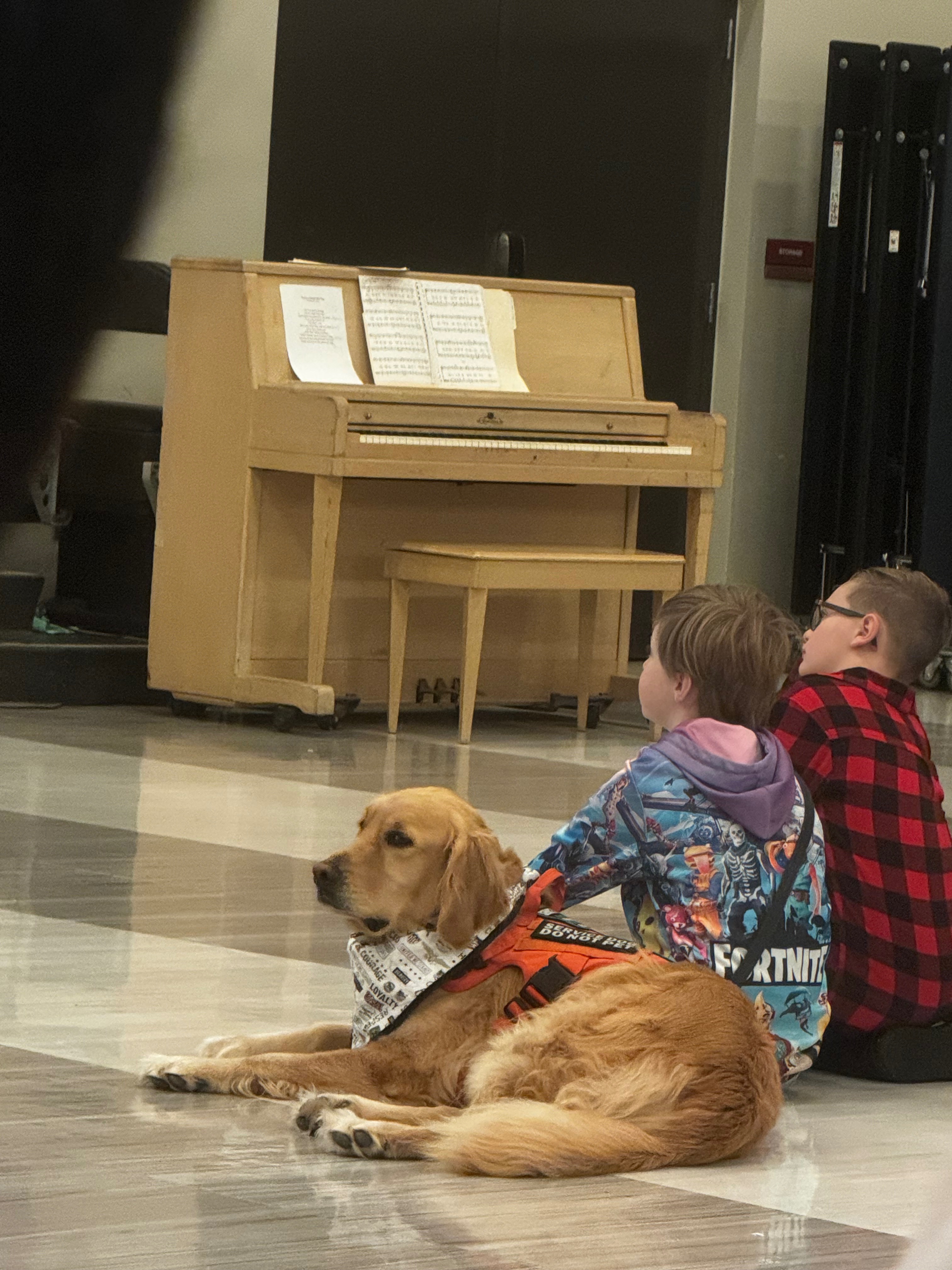 Support Liam’s Service Dog Sunny Against Cancer! campaign photo, 7 of 8