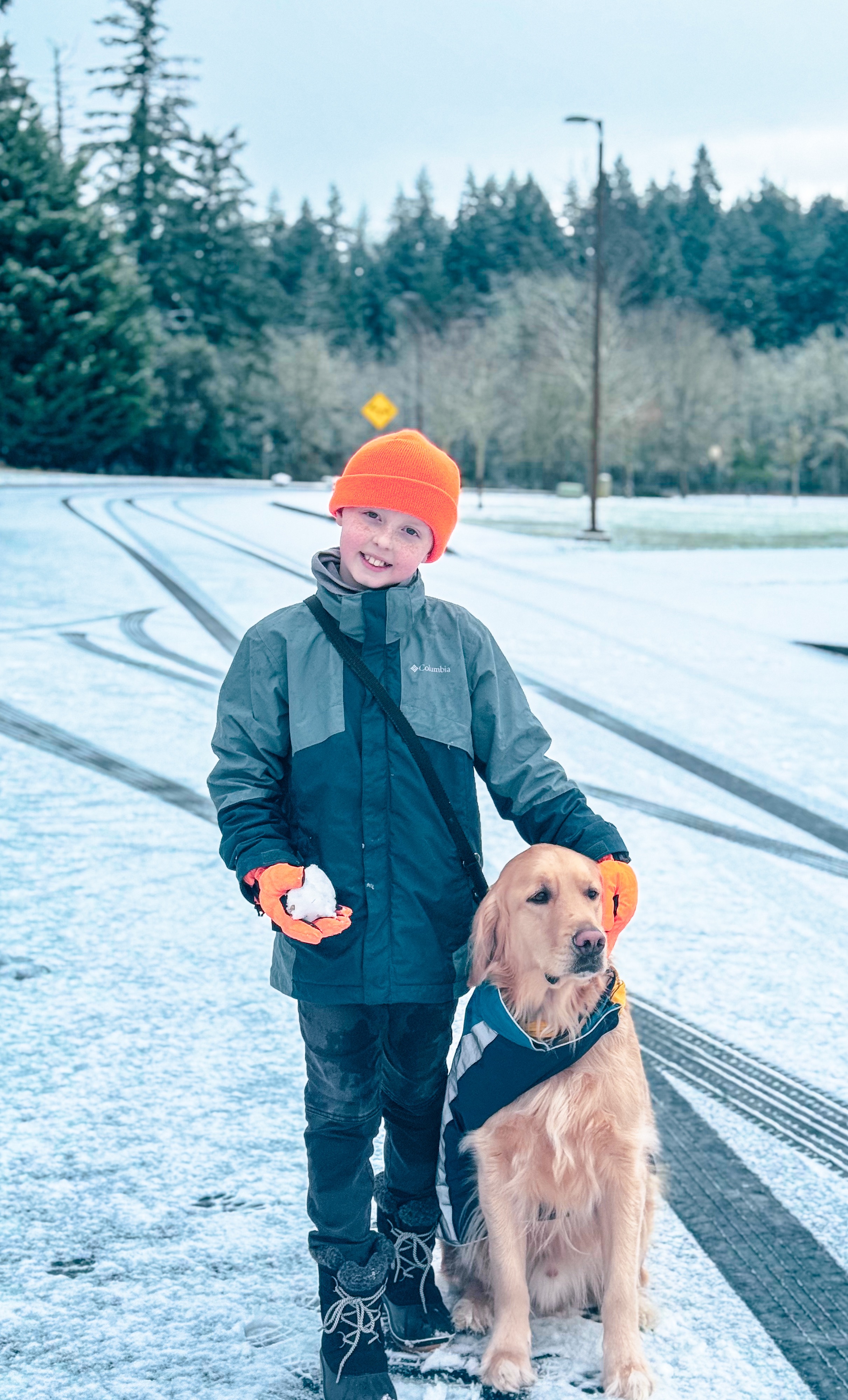 Support Liam’s Service Dog Sunny Against Cancer! campaign photo, 4 of 8