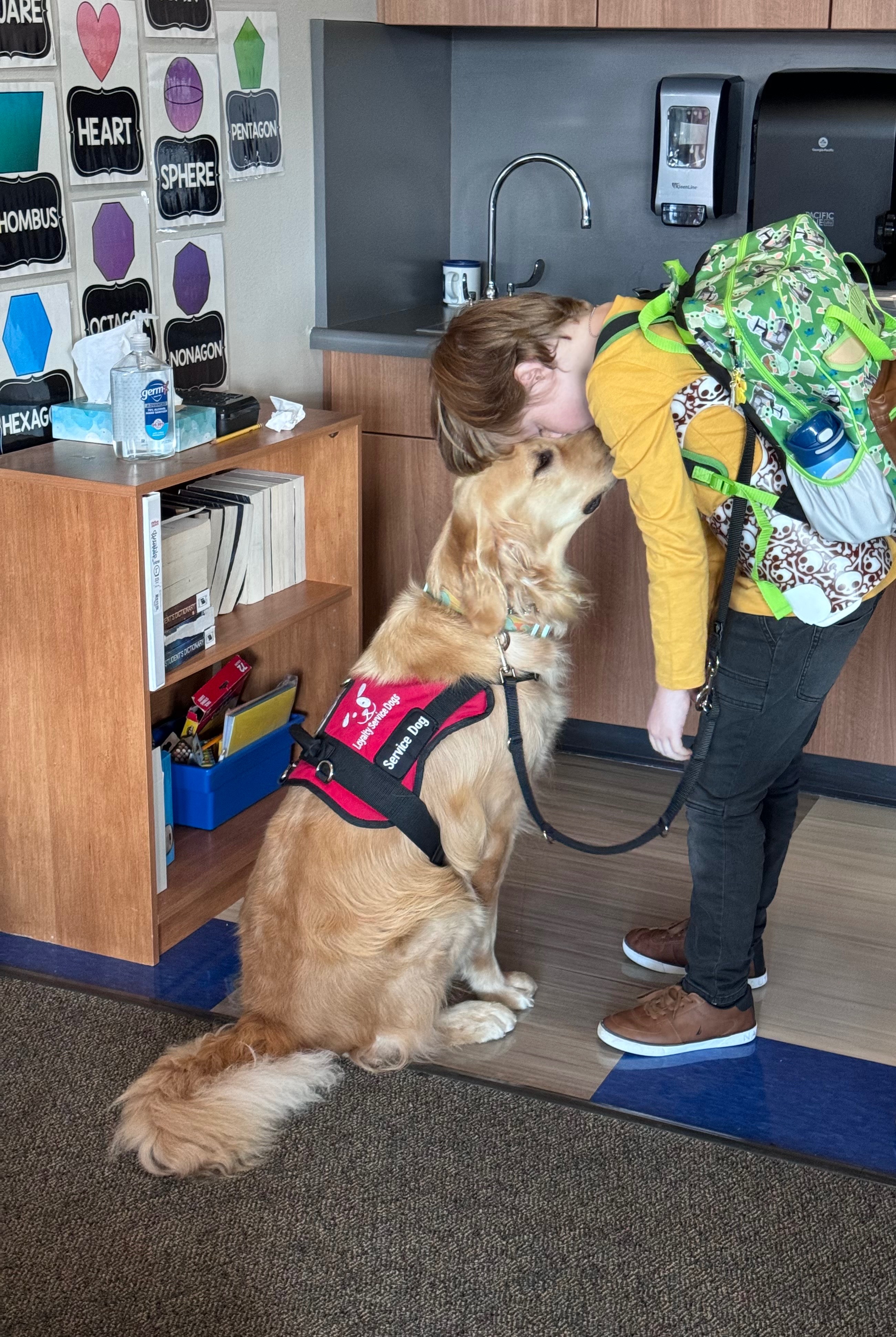 Support Liam’s Service Dog Sunny Against Cancer! campaign photo, 5 of 8