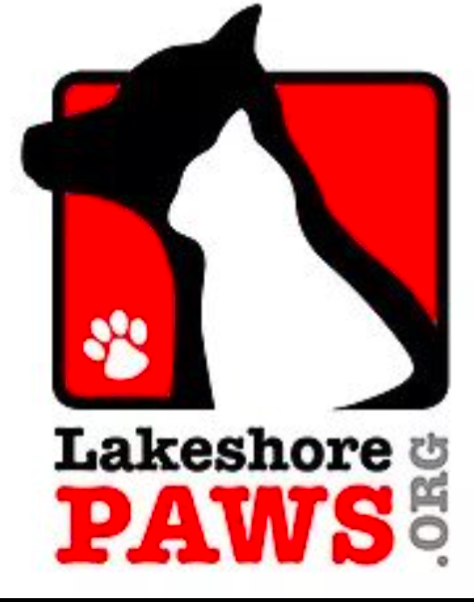 Support Lakeshore Paws with Vegan Supplies! campaign photo, 6 of 6