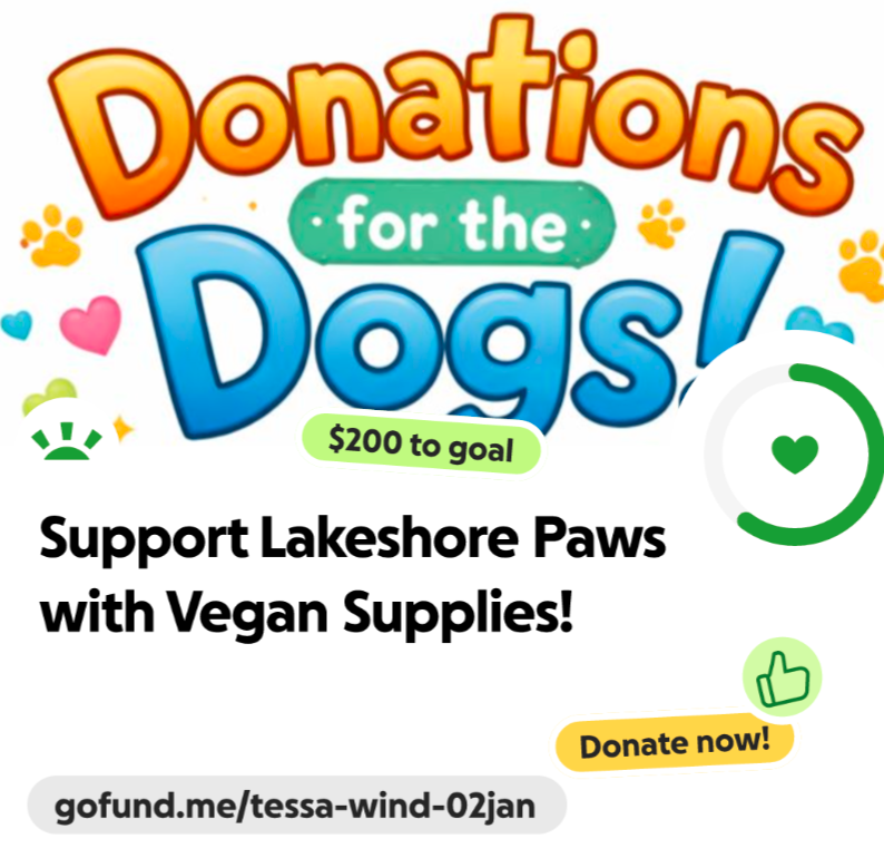 Support Lakeshore Paws with Vegan Supplies! campaign photo, 2 of 6