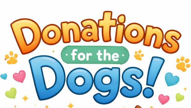 Support Lakeshore Paws with Vegan Supplies! campaign photo, 4 of 6