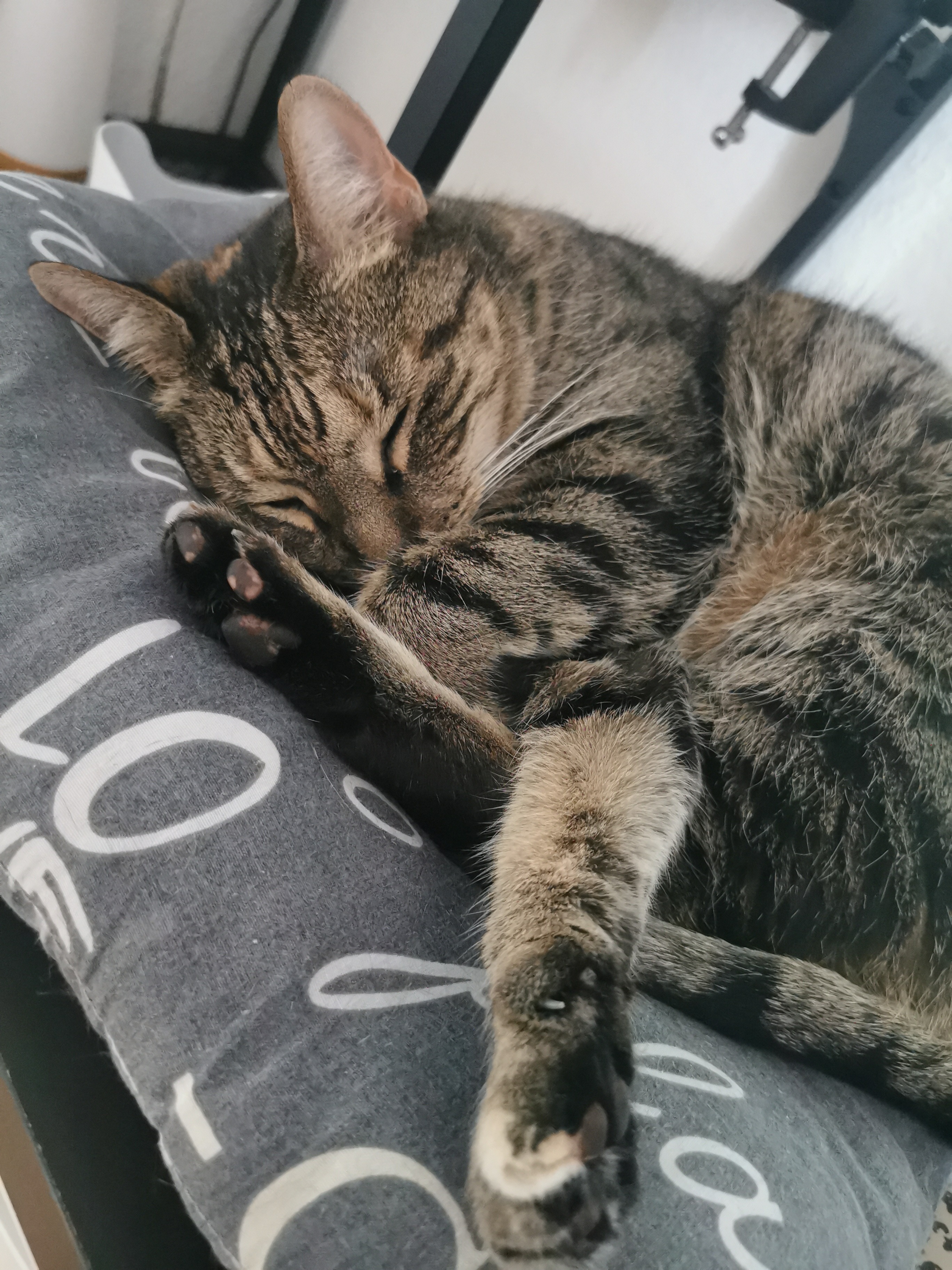 Behandlungskosten für Nidalee campaign photo, 5 of 6