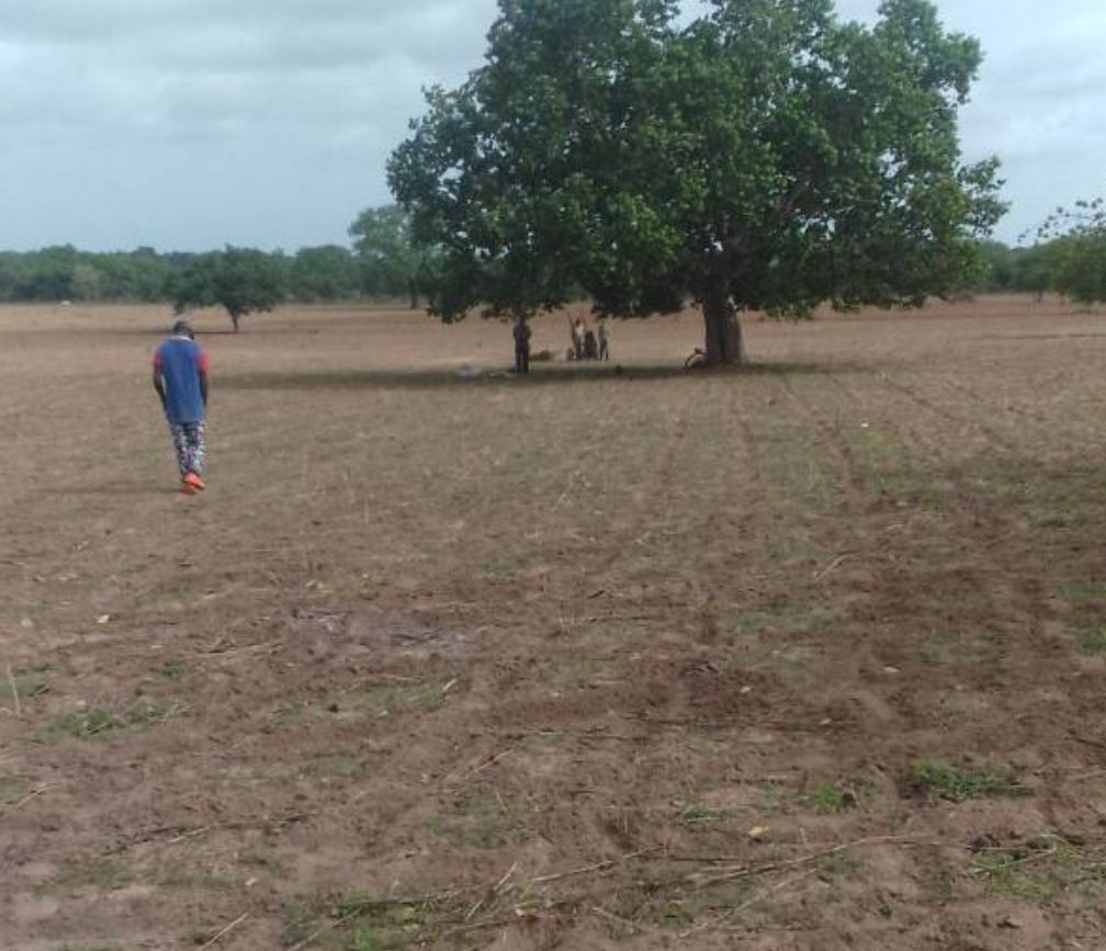 Help Ousman and his family survive in extreme crisis campaign photo, 2 of 5