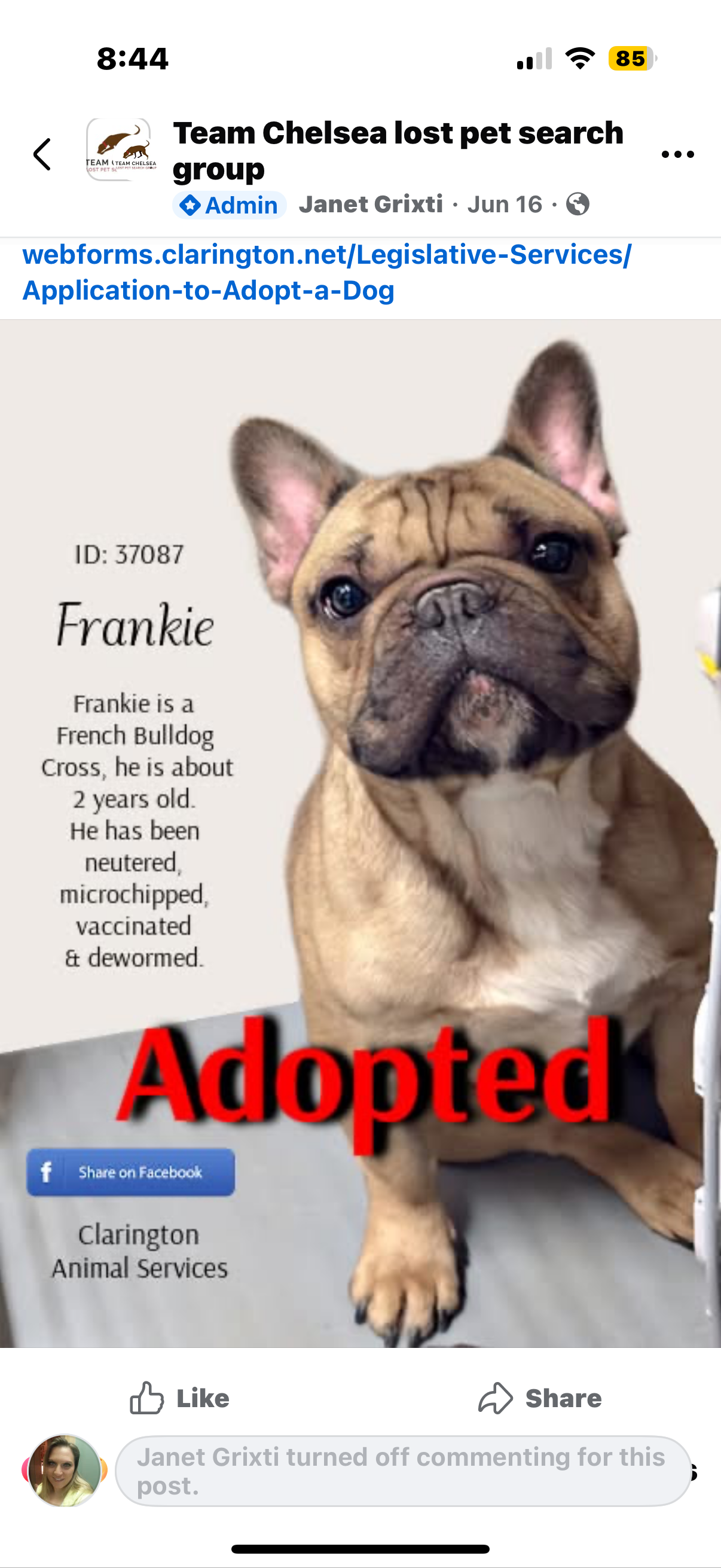 Help needed for spinal surgery for our Frankie campaign photo, 6 of 8