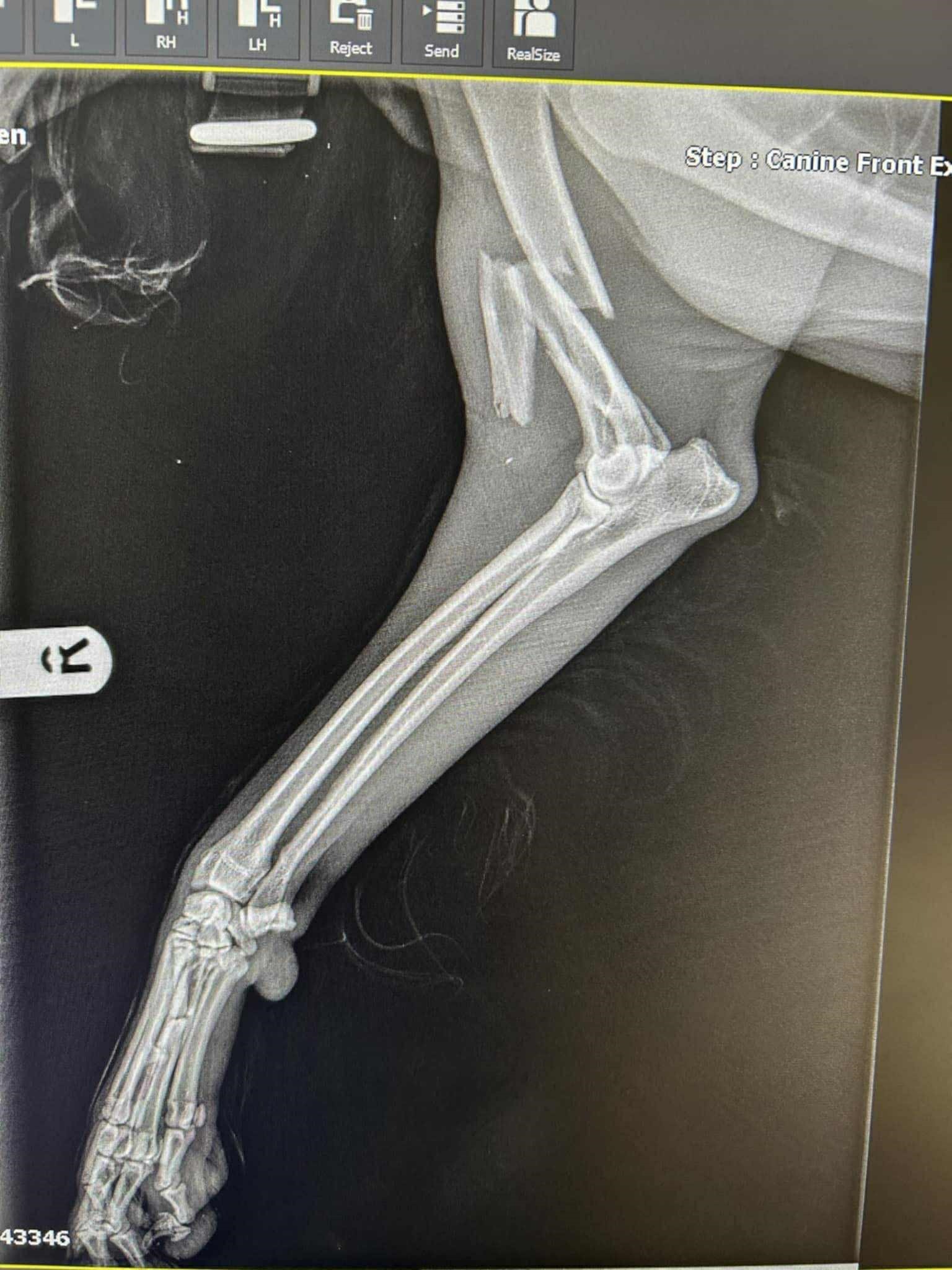 Can you help us save Glen’s leg? campaign photo, 2 of 4