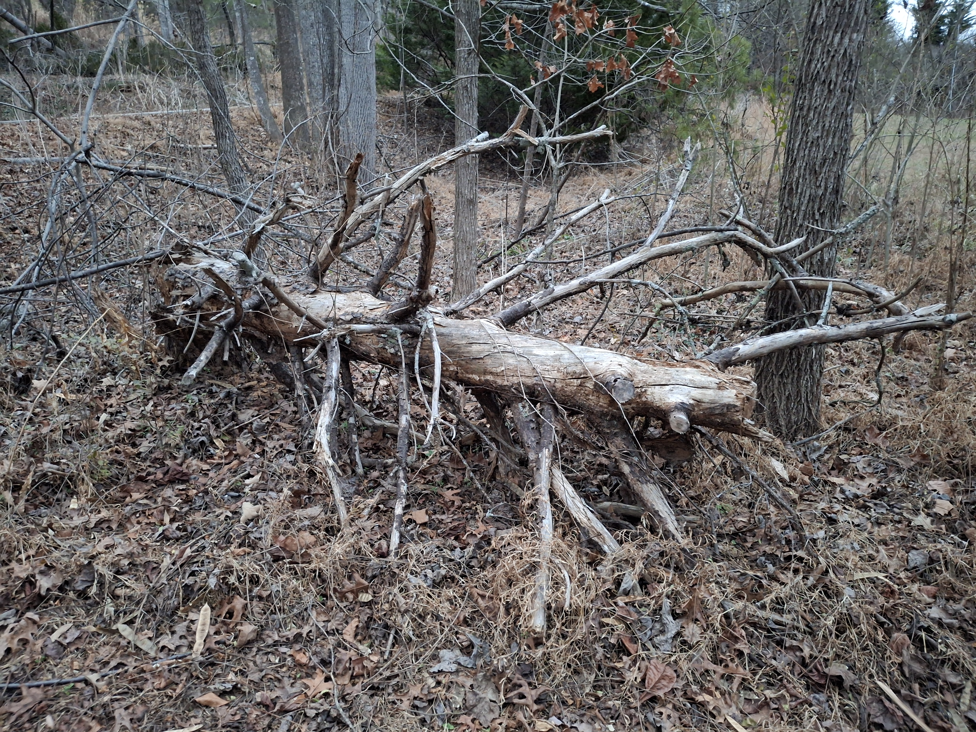 Help Elderly Couple Recover from Storm and Debt campaign photo, 6 of 8