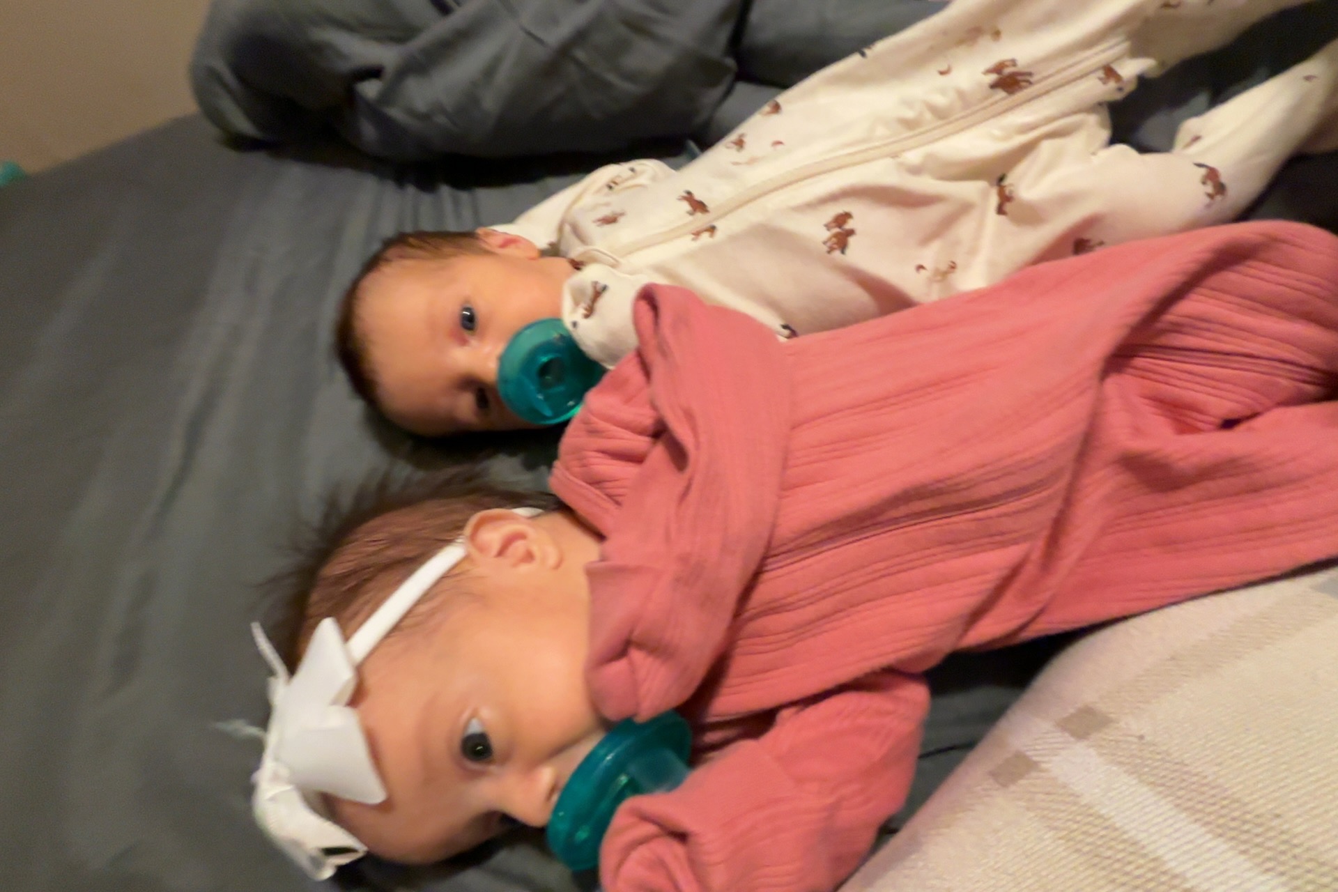 Support Oakley’s Heart Surgery Journey campaign photo, 4 of 8