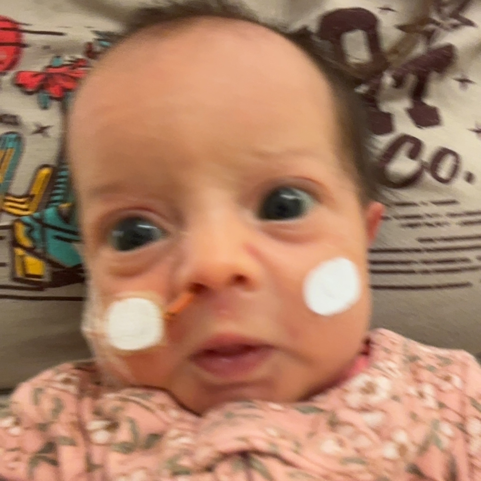 Support Oakley’s Heart Surgery Journey campaign photo, 6 of 8