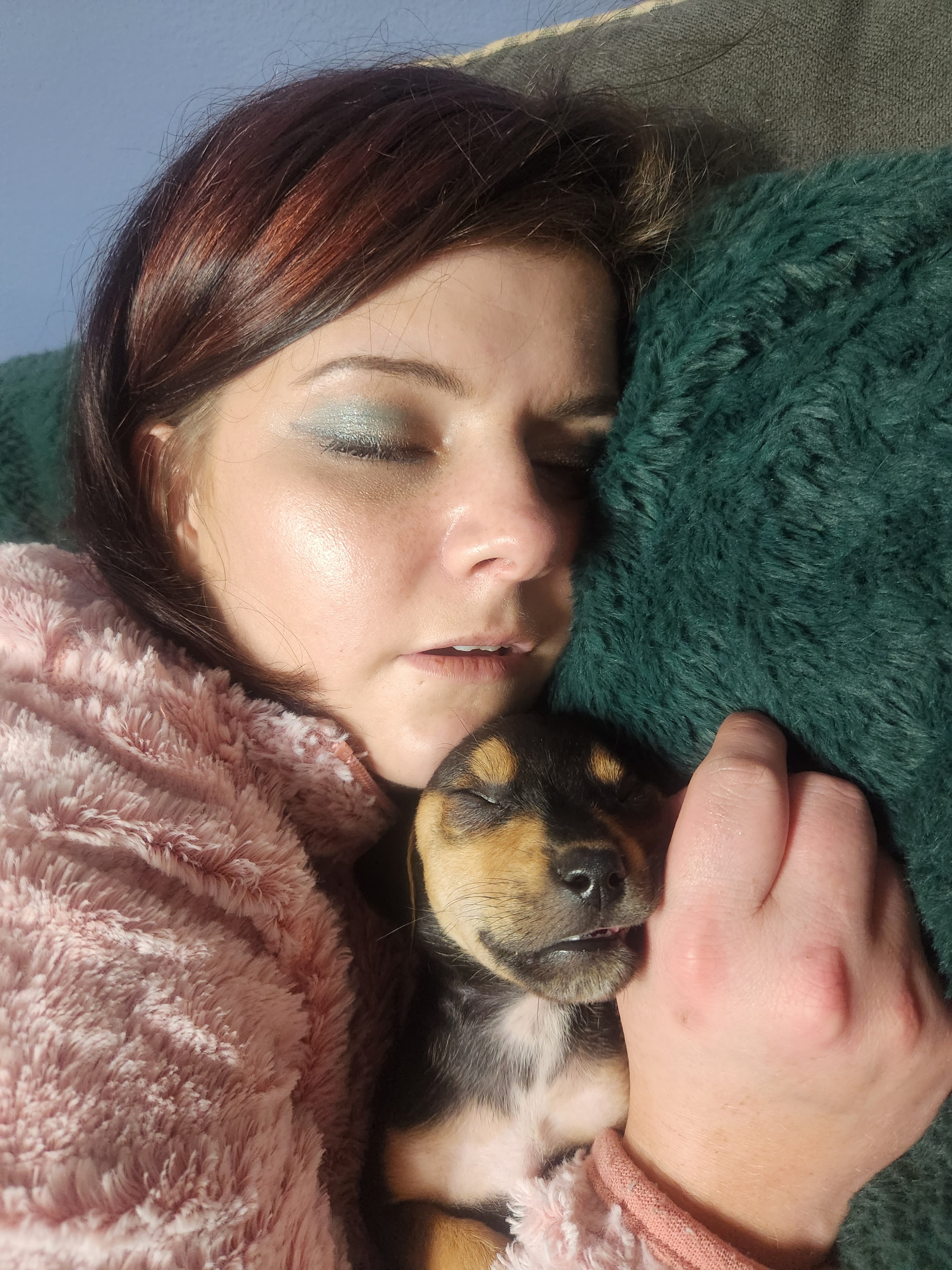 Help Gilbert Heal: Emergency Vet Care campaign photo, 4 of 7