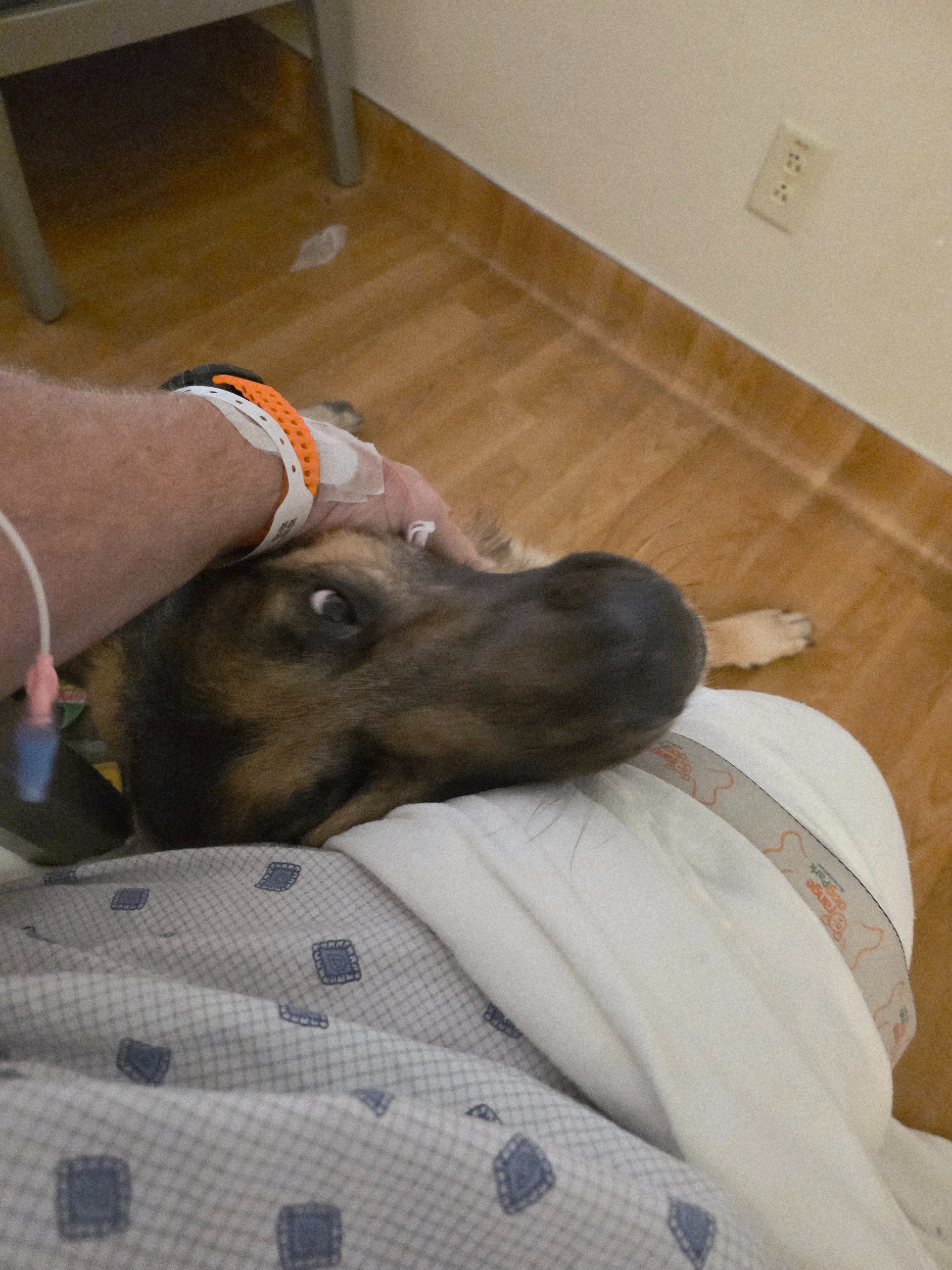 Emergency Care for Ahijah, Concussion Service Dog campaign photo, 7 of 8