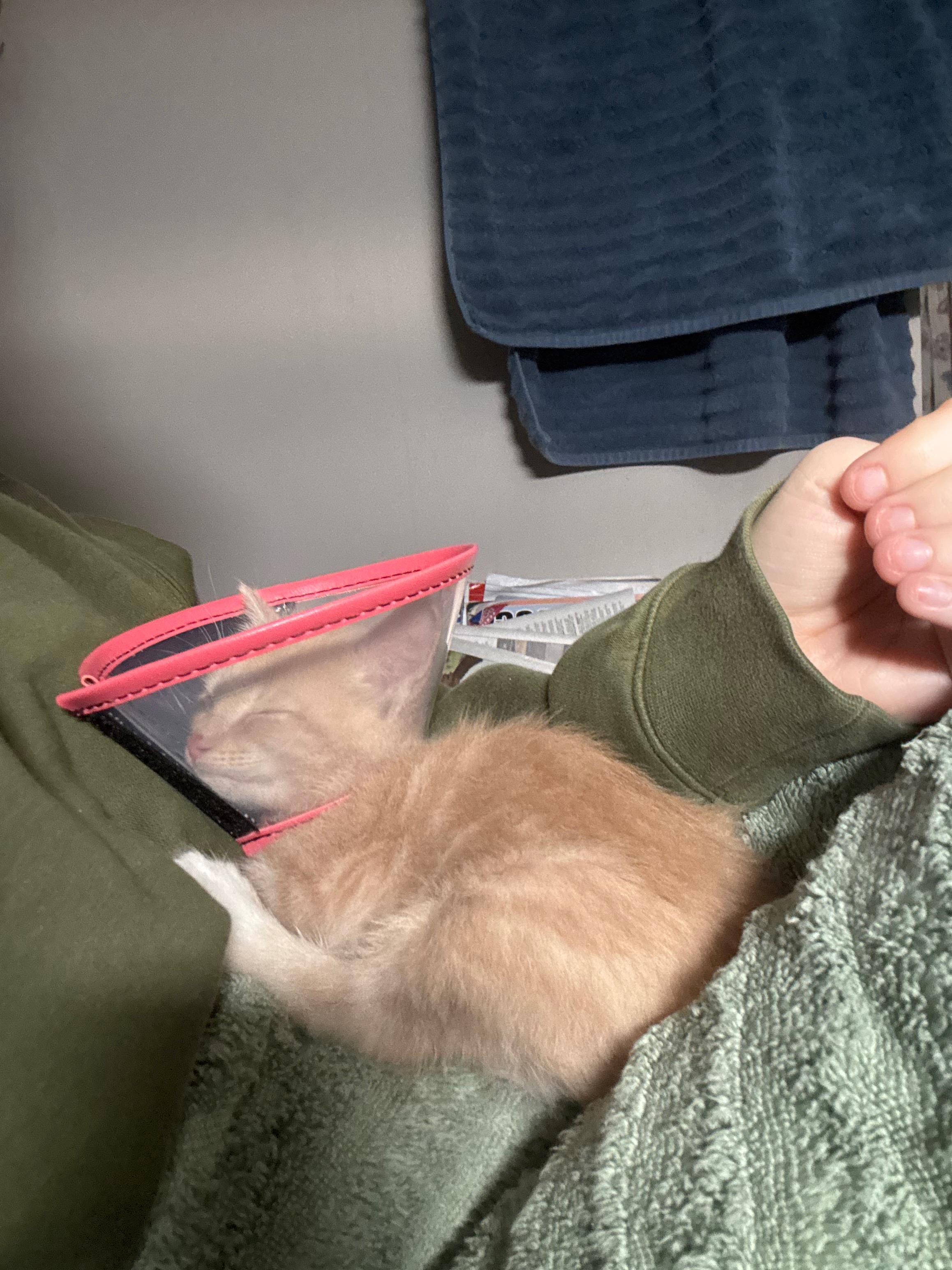 Support Hopper’s Amputation Surgery campaign photo, 6 of 6