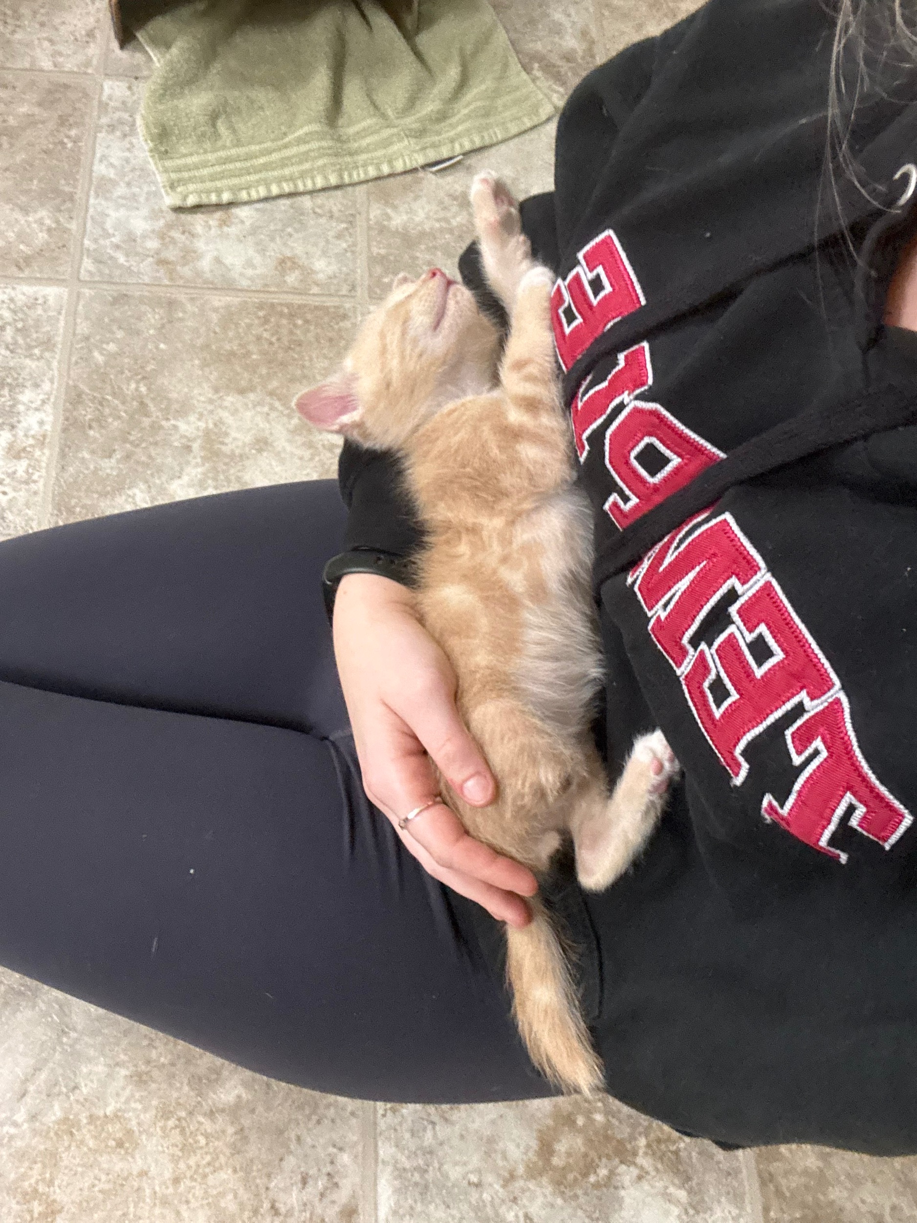 Support Hopper’s Amputation Surgery campaign photo, 2 of 6