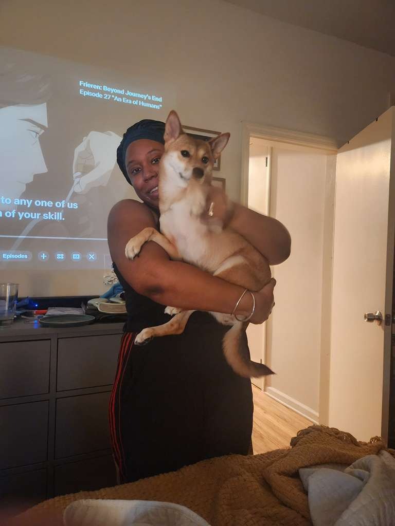 Urgent: Help Us Recover Our Dog from Curaçao campaign photo, 7 of 8