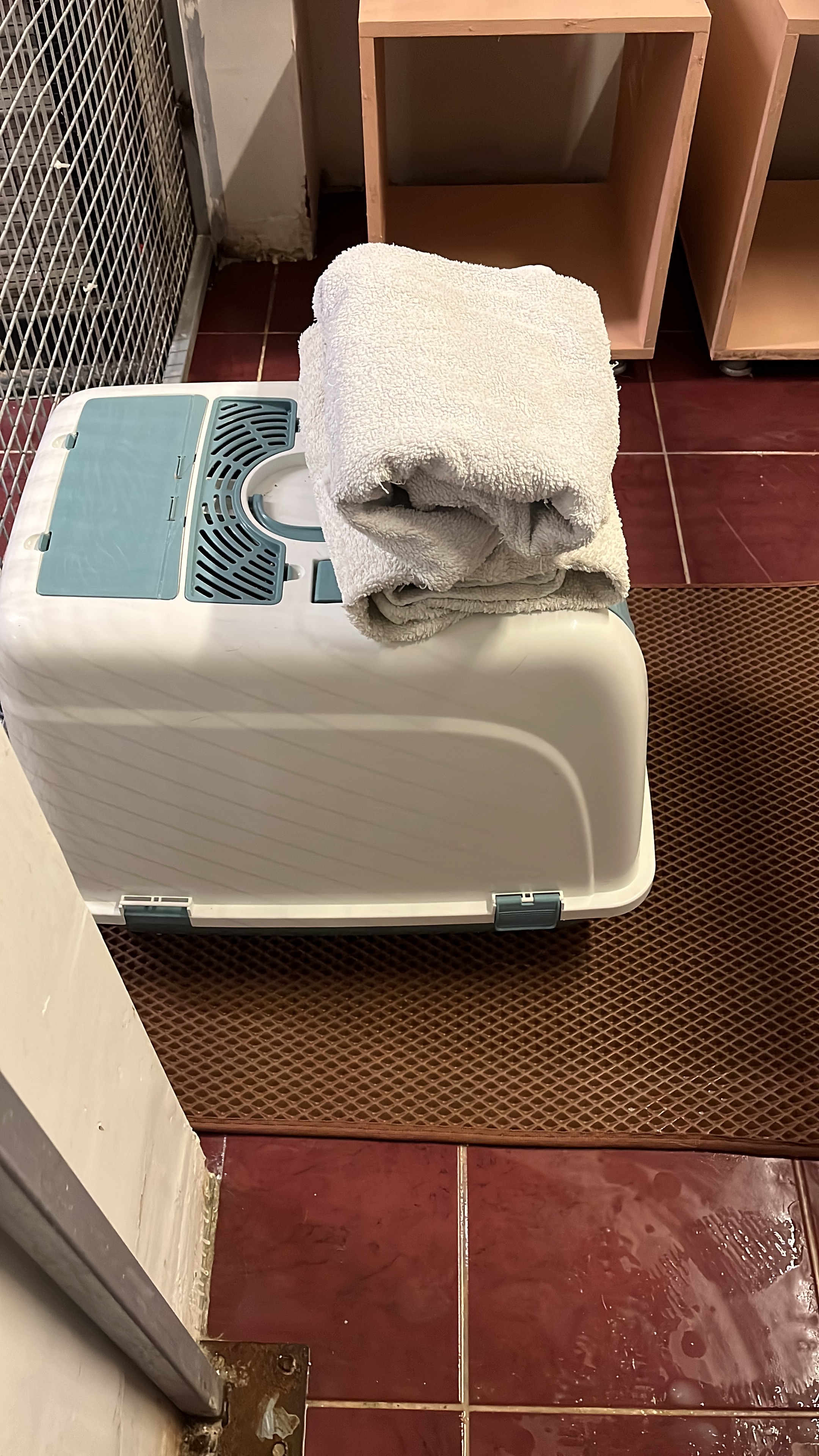 A washing machine for Paws of Hope Rescue Turkey campaign photo, 4 of 7