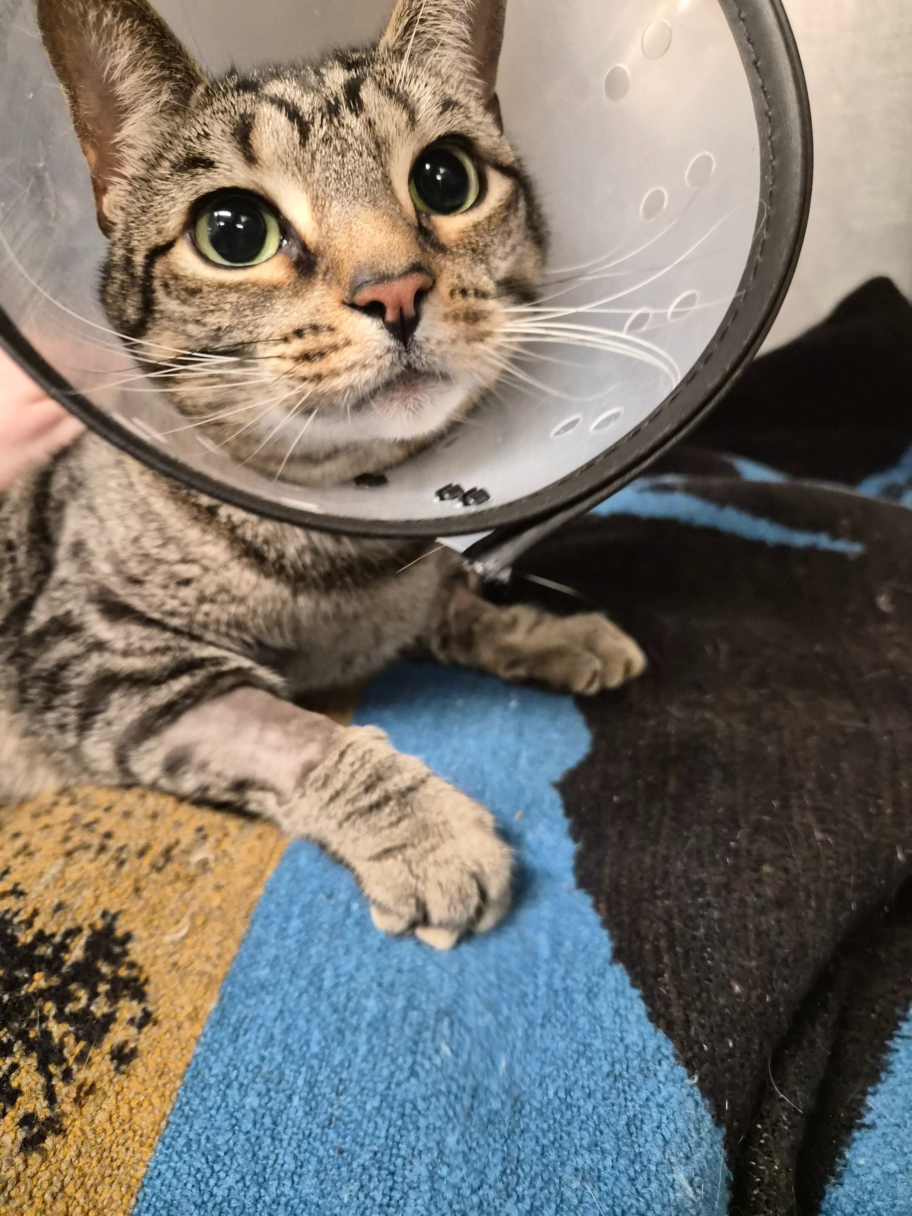 Support Ramsay's Surgery & Recovery campaign photo, 2 of 6