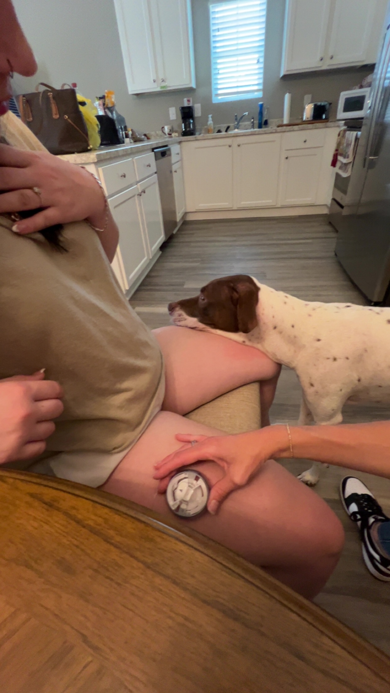 Help Destinee Get a Life-Saving Service Dog campaign photo, 4 of 8