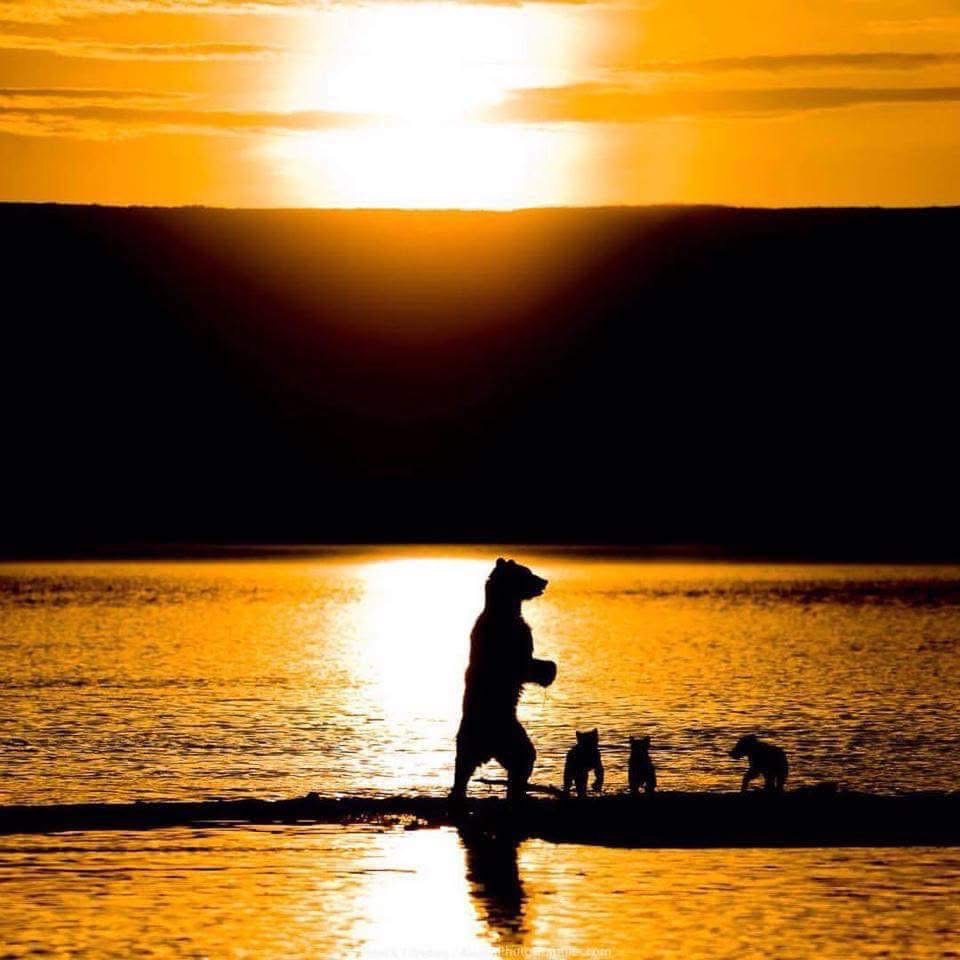 Support for a Resilient Family in Crisis campaign photo, 6 of 7
