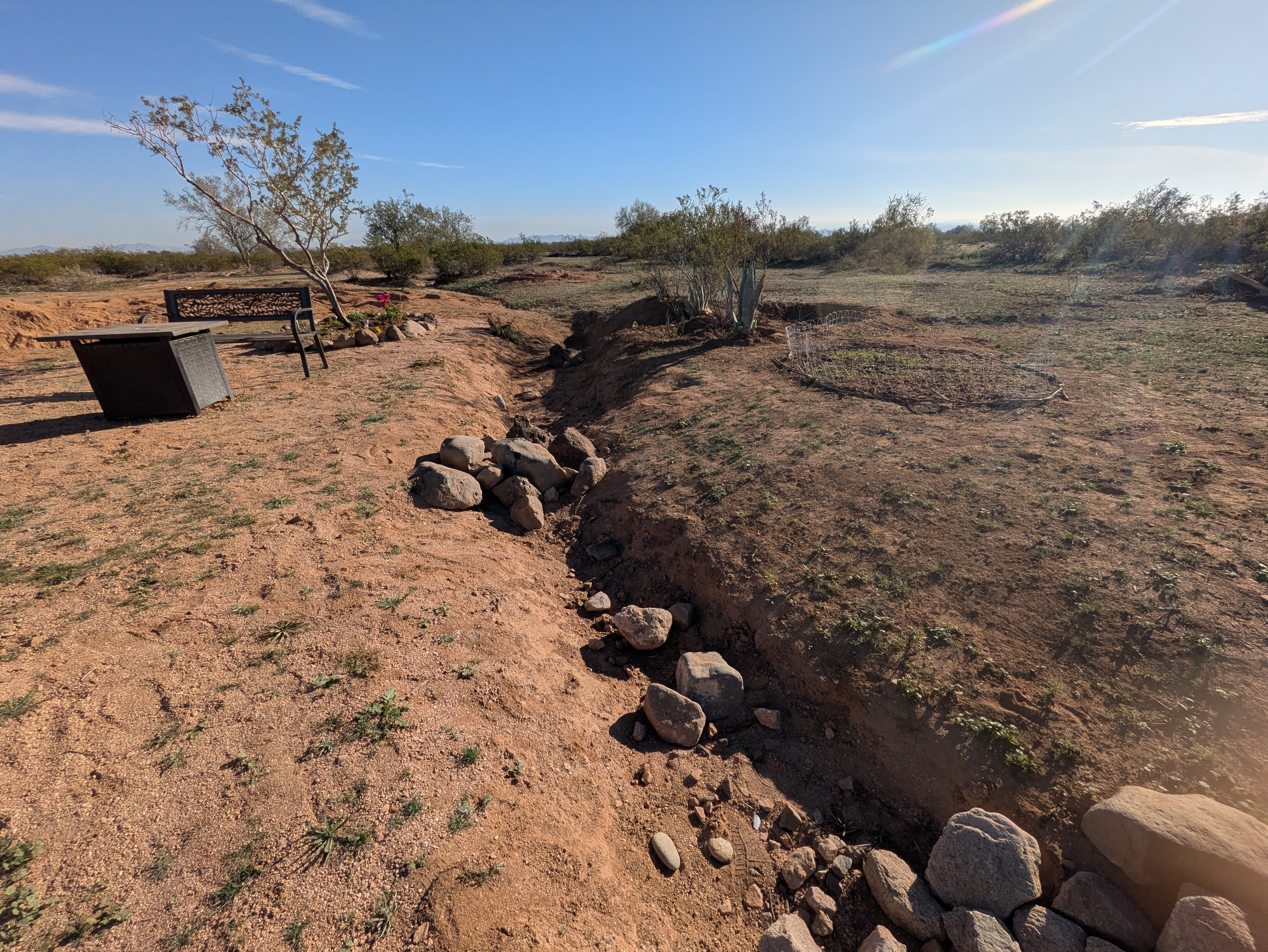 Nurture Green Kamino’s Vision for a Living Desert. campaign photo, 5 of 8