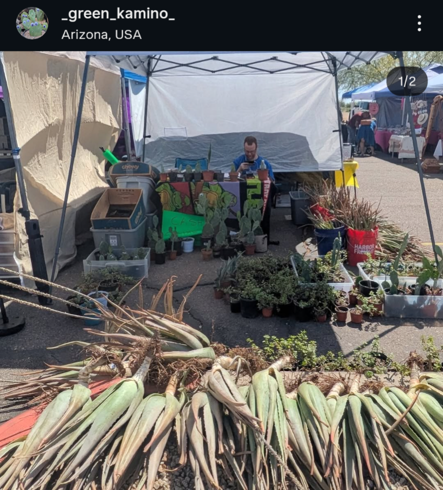 Nurture Green Kamino’s Vision for a Living Desert. campaign photo, 6 of 8