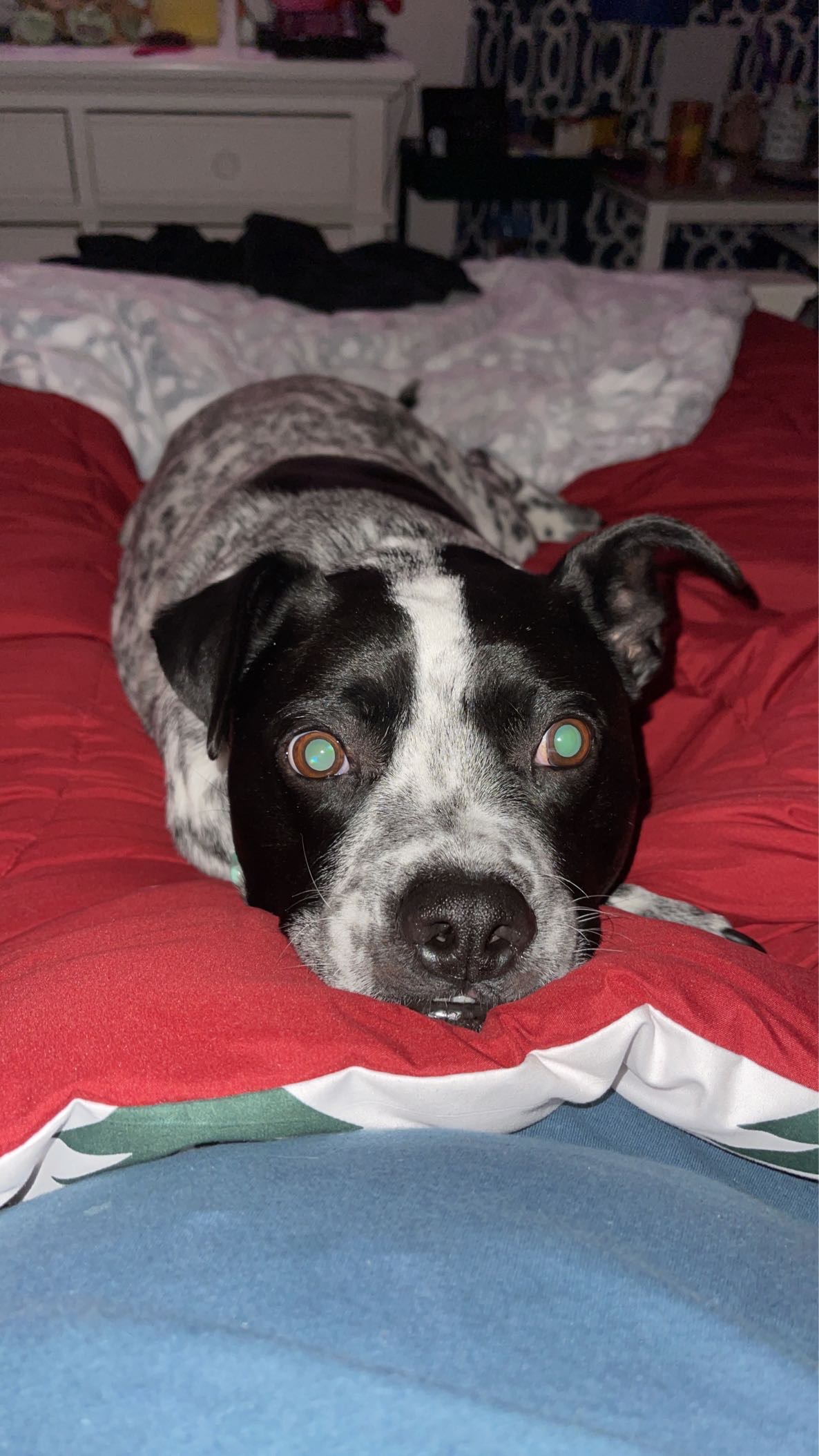 Help Spots Urgently Get His Life-Saving Surgery campaign photo, 6 of 7